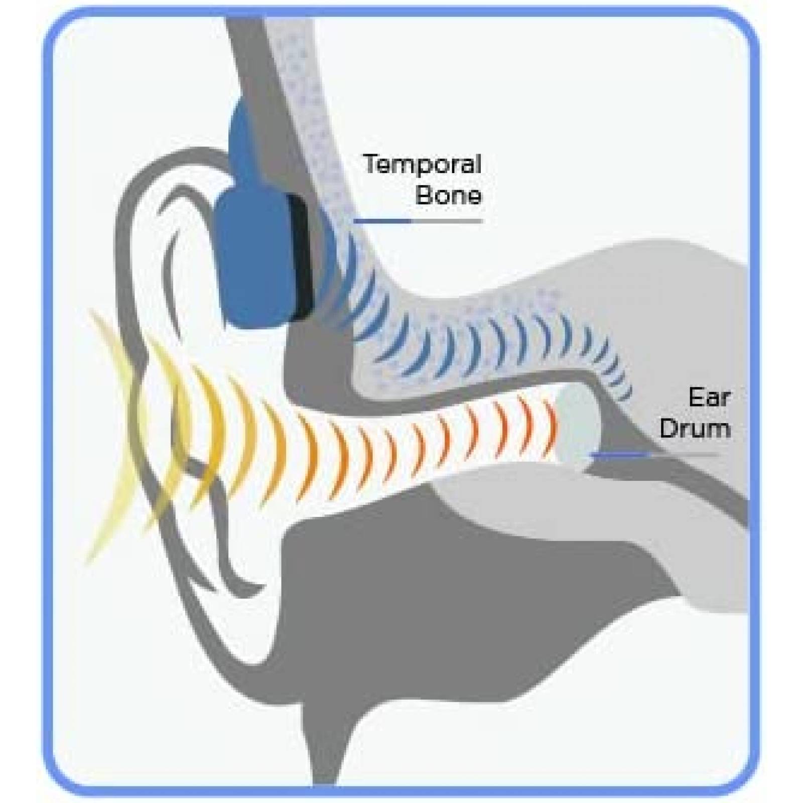 Audifonos Conduccion osea para Cuello Swimbuds para Nadar