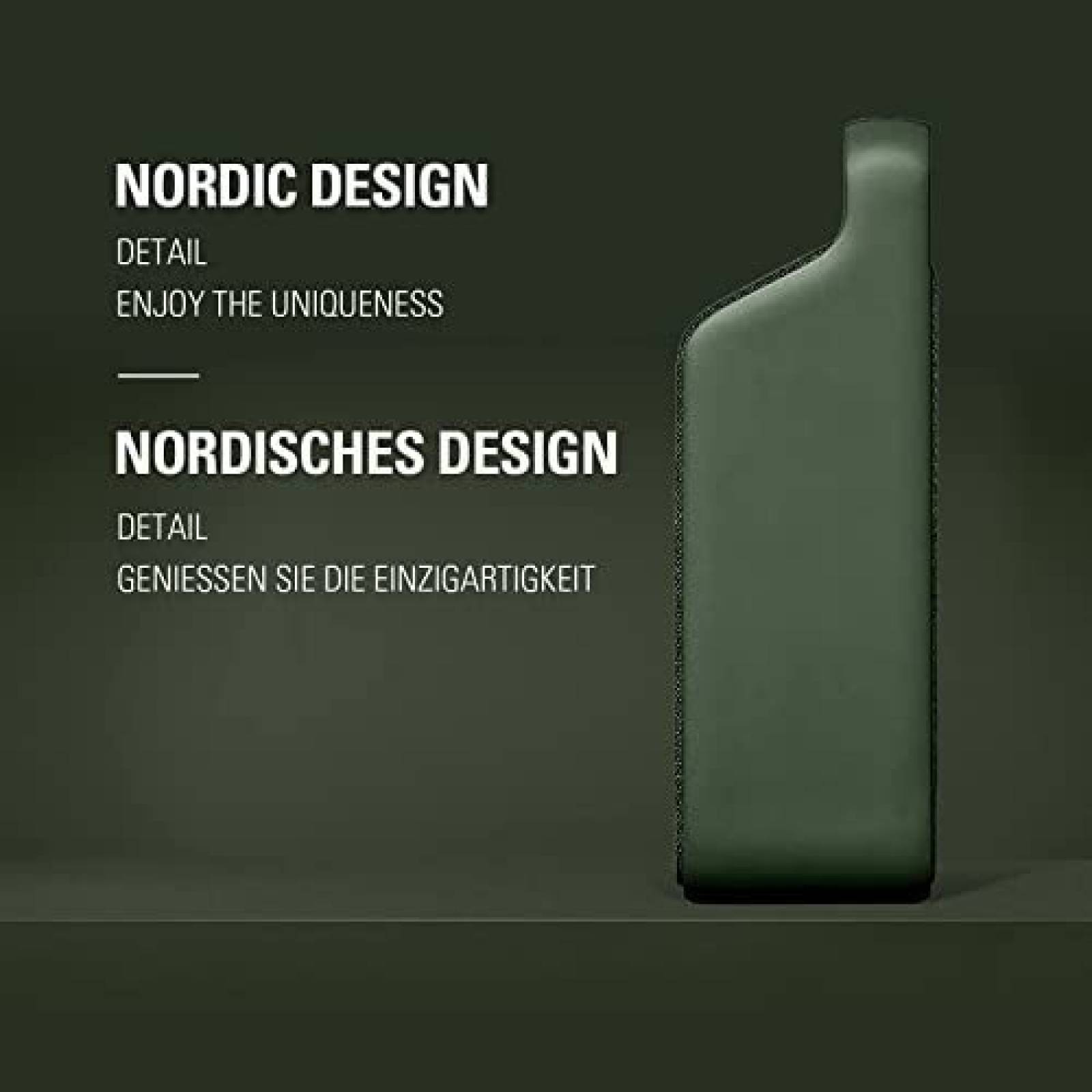 Bocina Inalambrica Vifa Copenhagen 2.0 WiFi Bluetooth -Verde