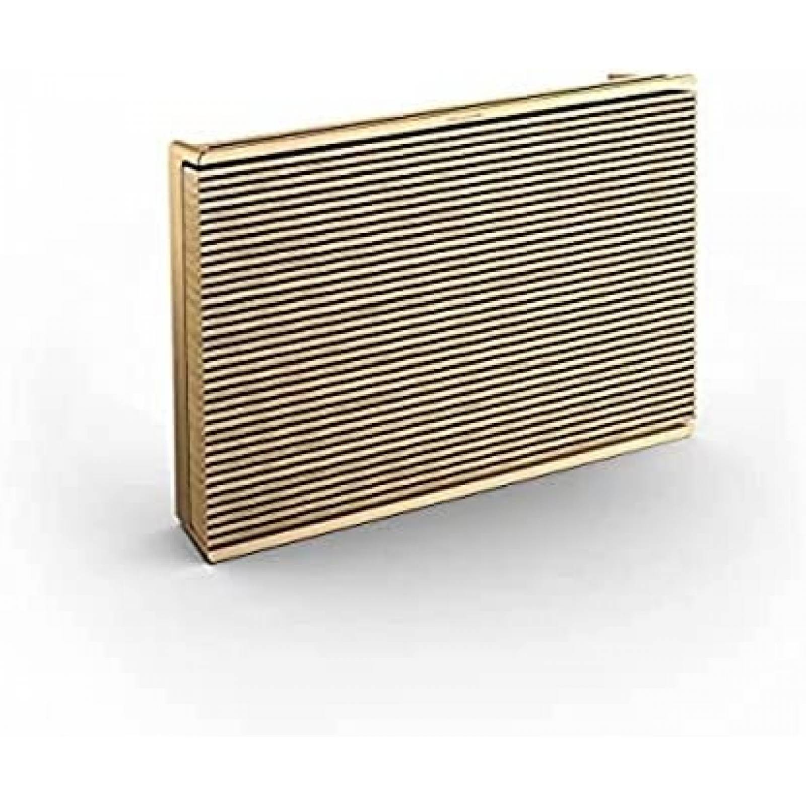 Altavoz Bang & Olufsen Beosound Level Portatil WiFi -Dorado