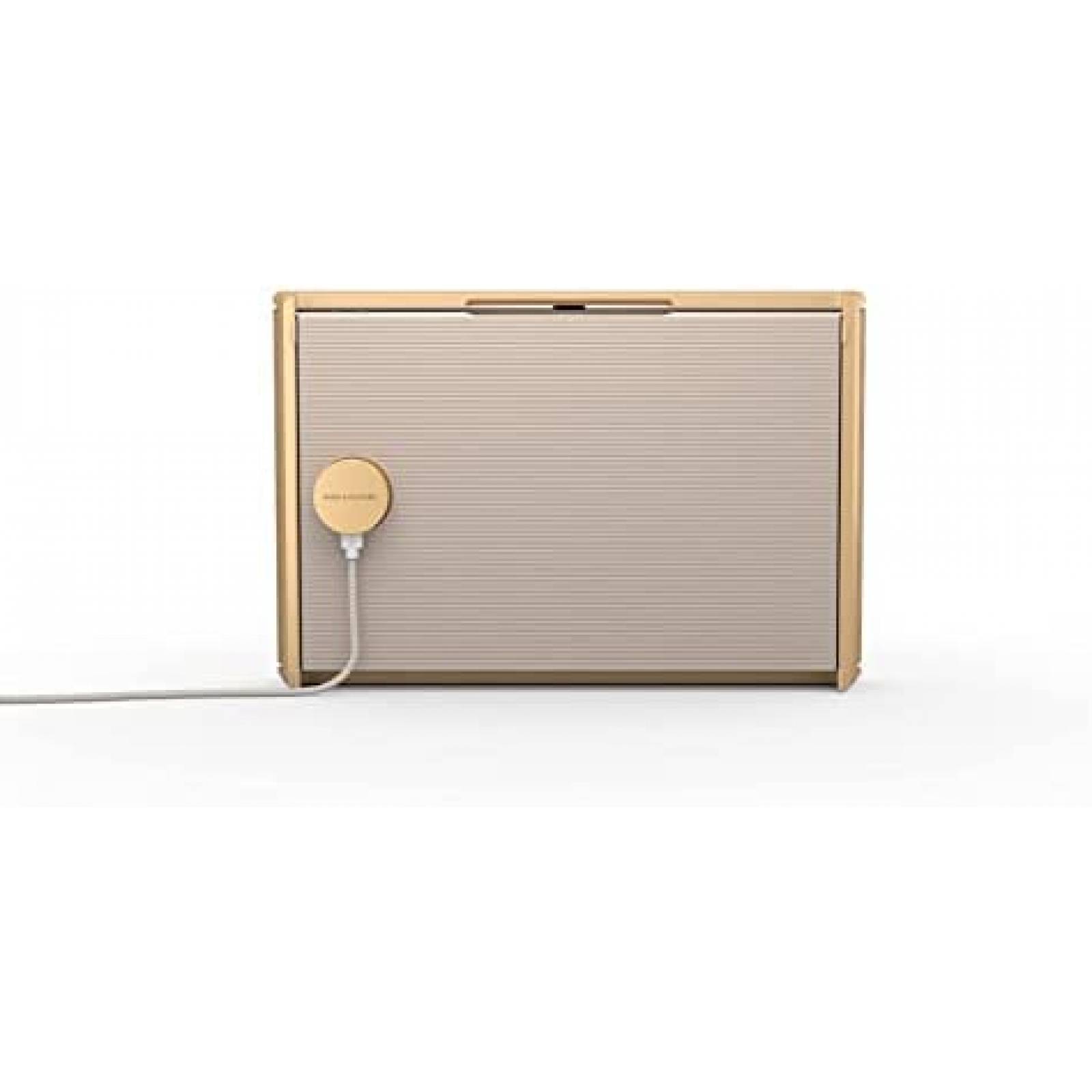 Altavoz Bang & Olufsen Beosound Level Portatil WiFi -Dorado