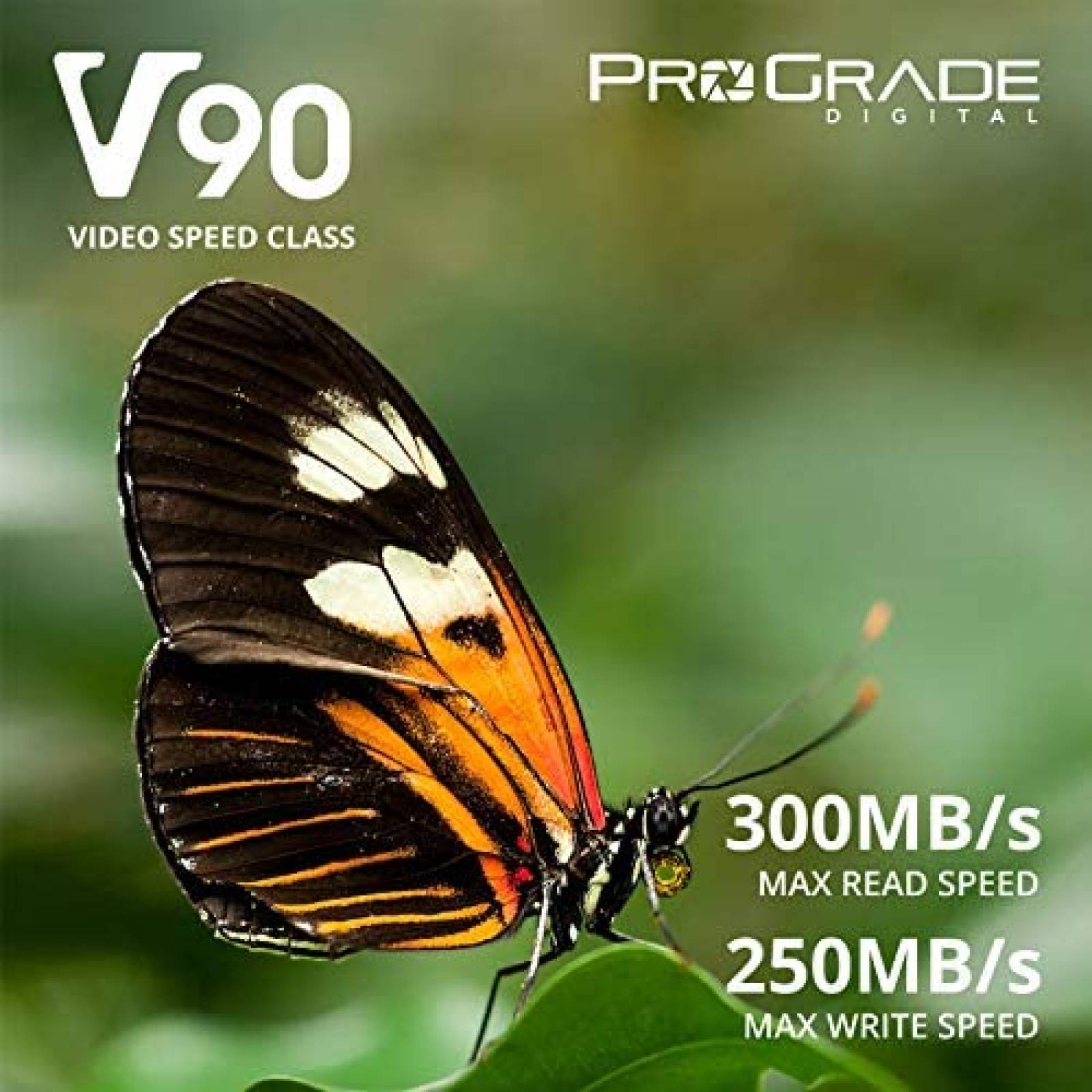 Tarjeta de Memoria ProGrade SDXC 256GB 300MB/s Clase 10 U3