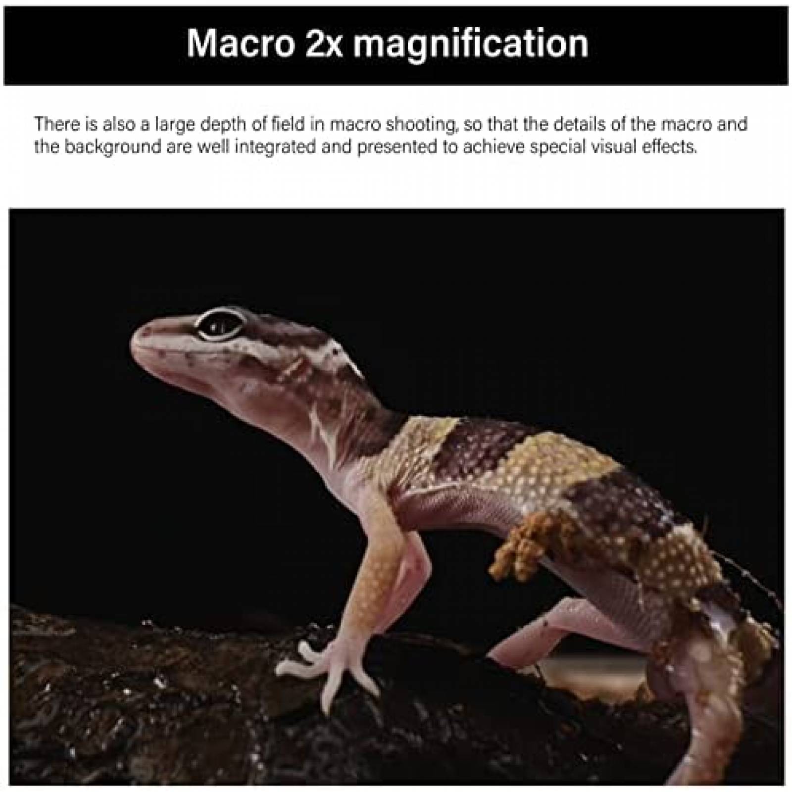 Lente De Sonda Macro AstrHori 28mm F13 2X Camaras -Negro