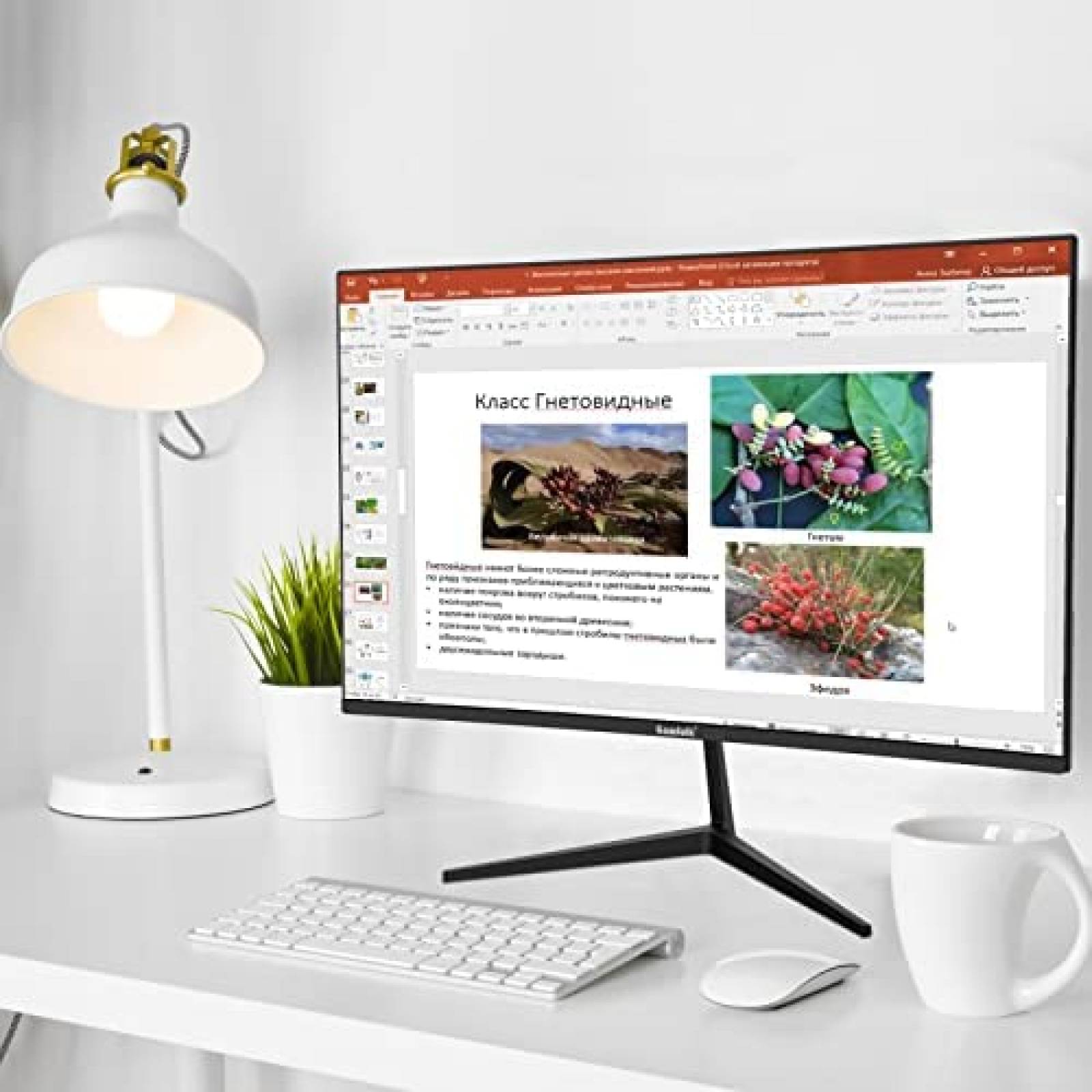 Monitor Gawfolk 24'' Curveado FHD 1080p 75Hz HDMI -Negro
