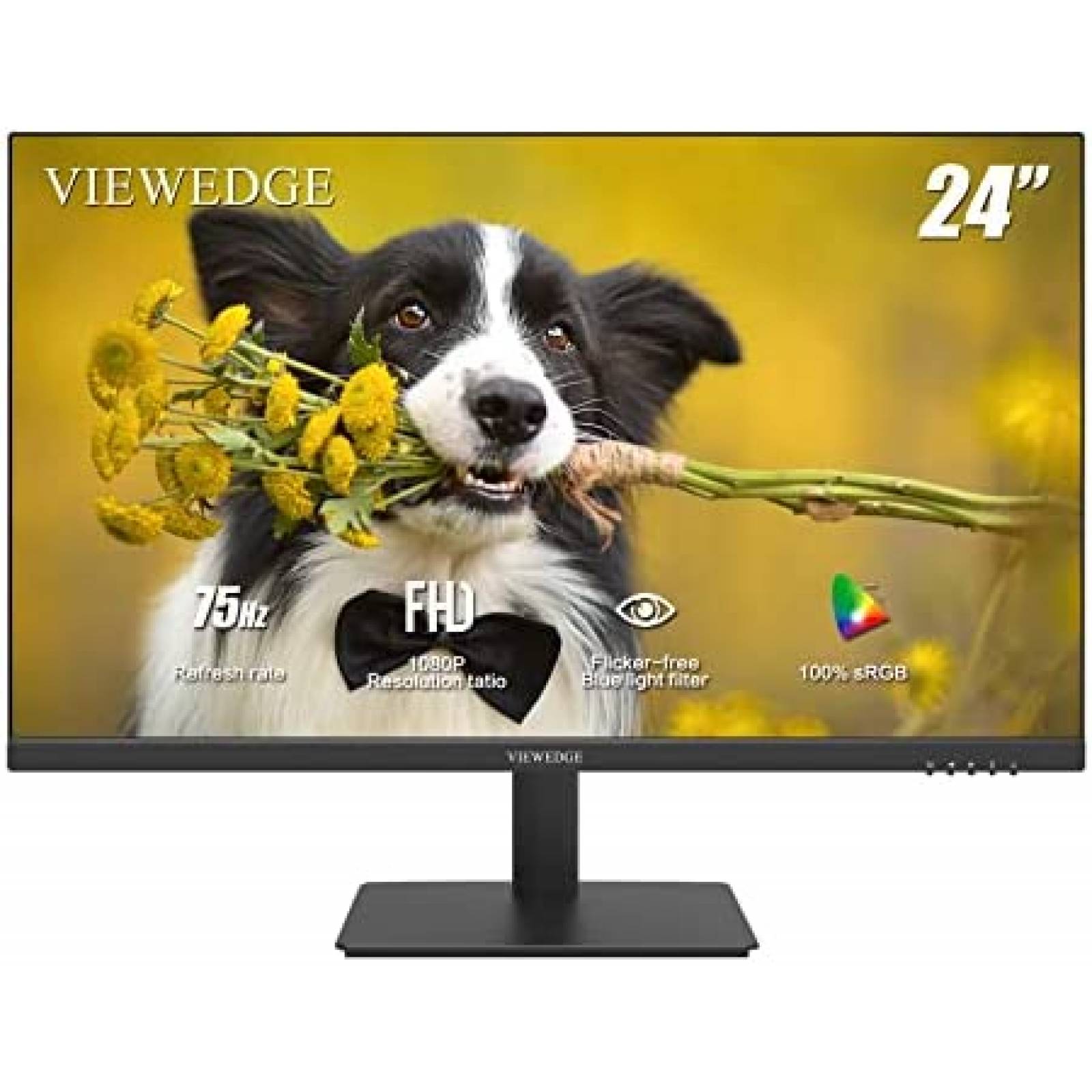 Monitor Viewedge 24'' 1920 x 1080p 75Hz HDMI -Negro