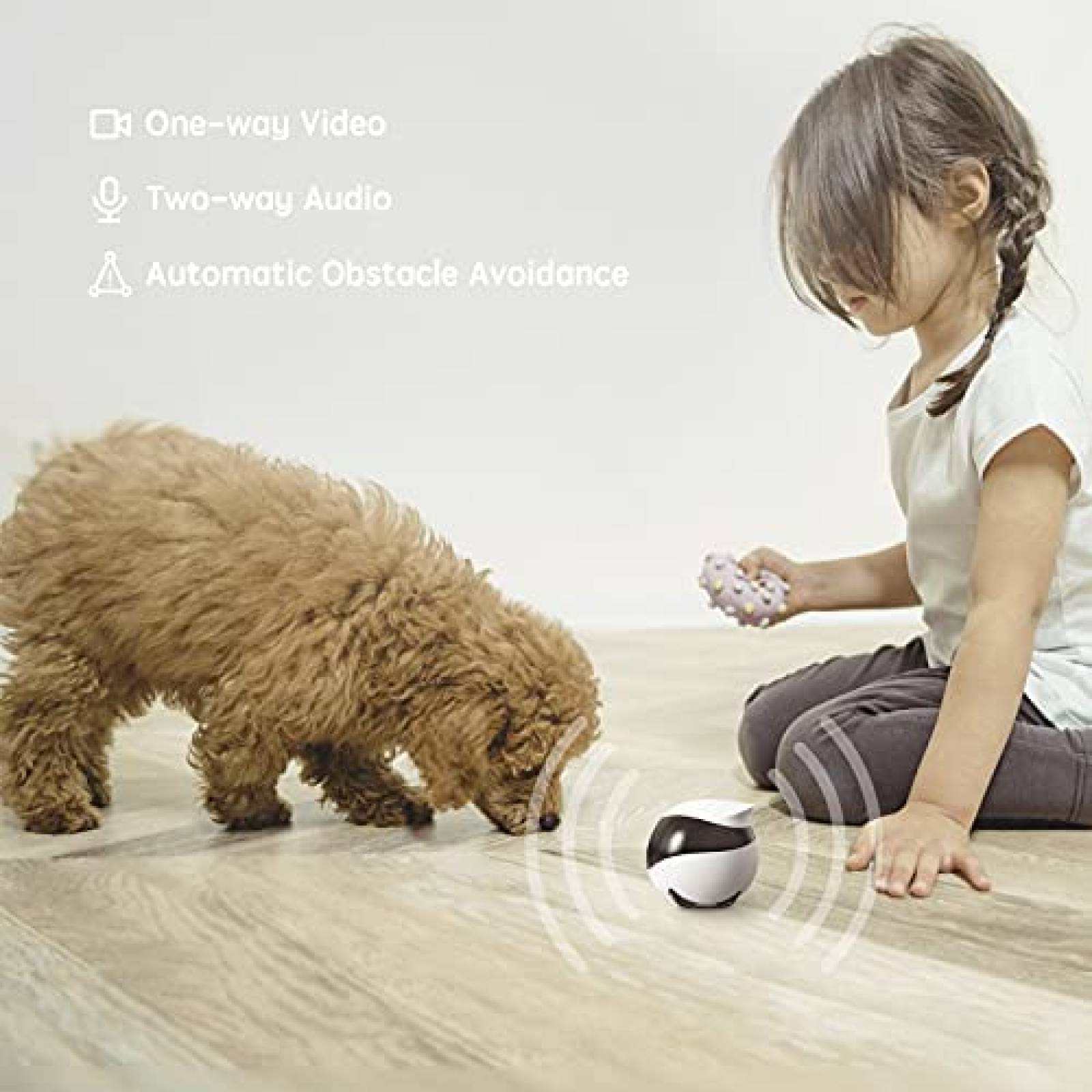 Camara de Seguridad Enabot EBO para Mascotas Control Remoto