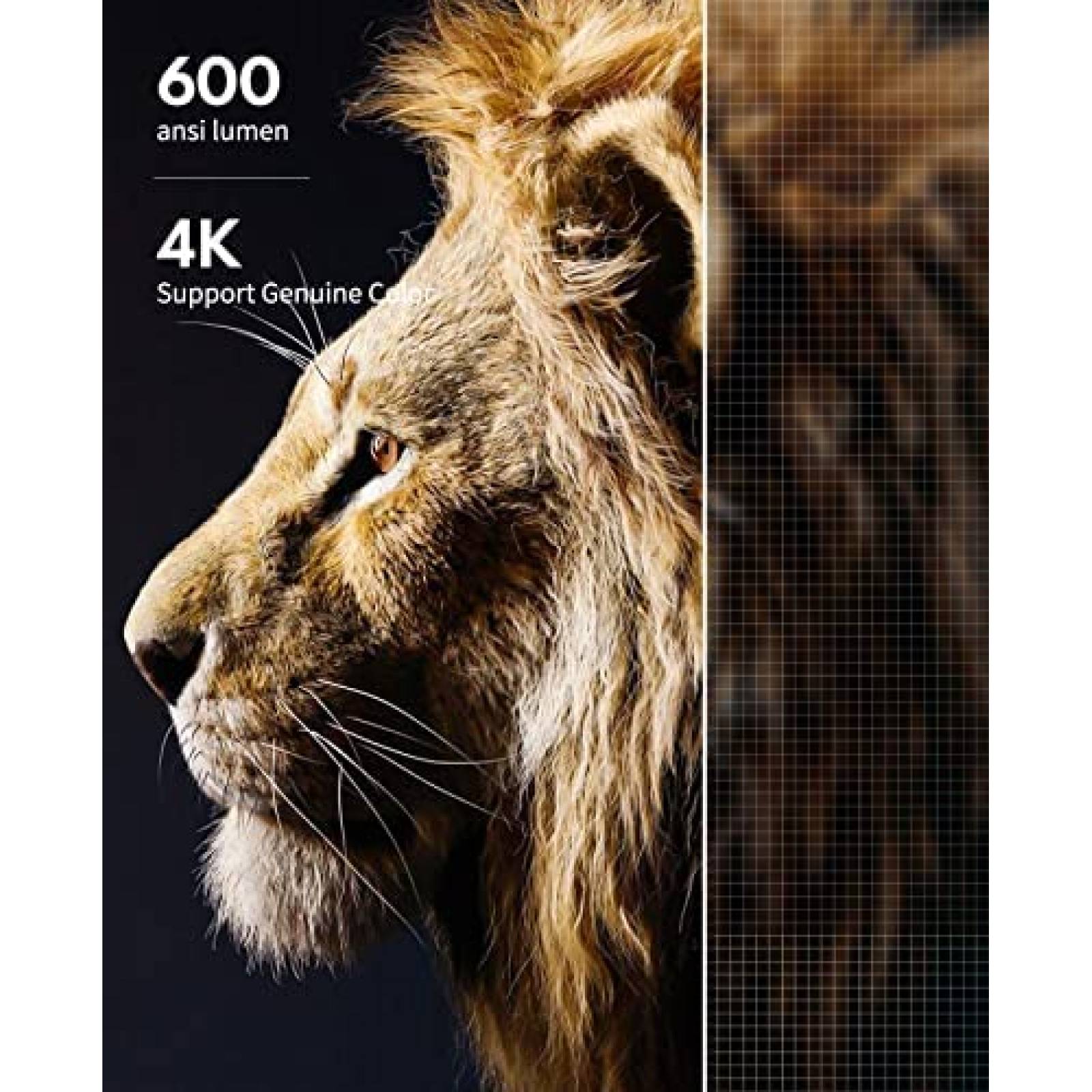 Proyector GooDee YG600 Plus 4K 1080P WiFi Bluetooth Portatil