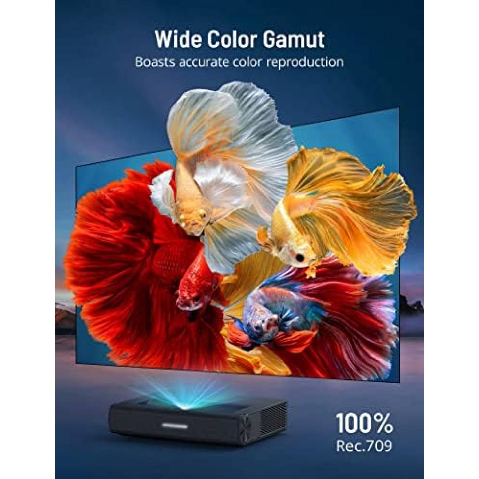 Proyector PARIS RHNE PE-LT002 2000 Lumenes ANSI -Gris