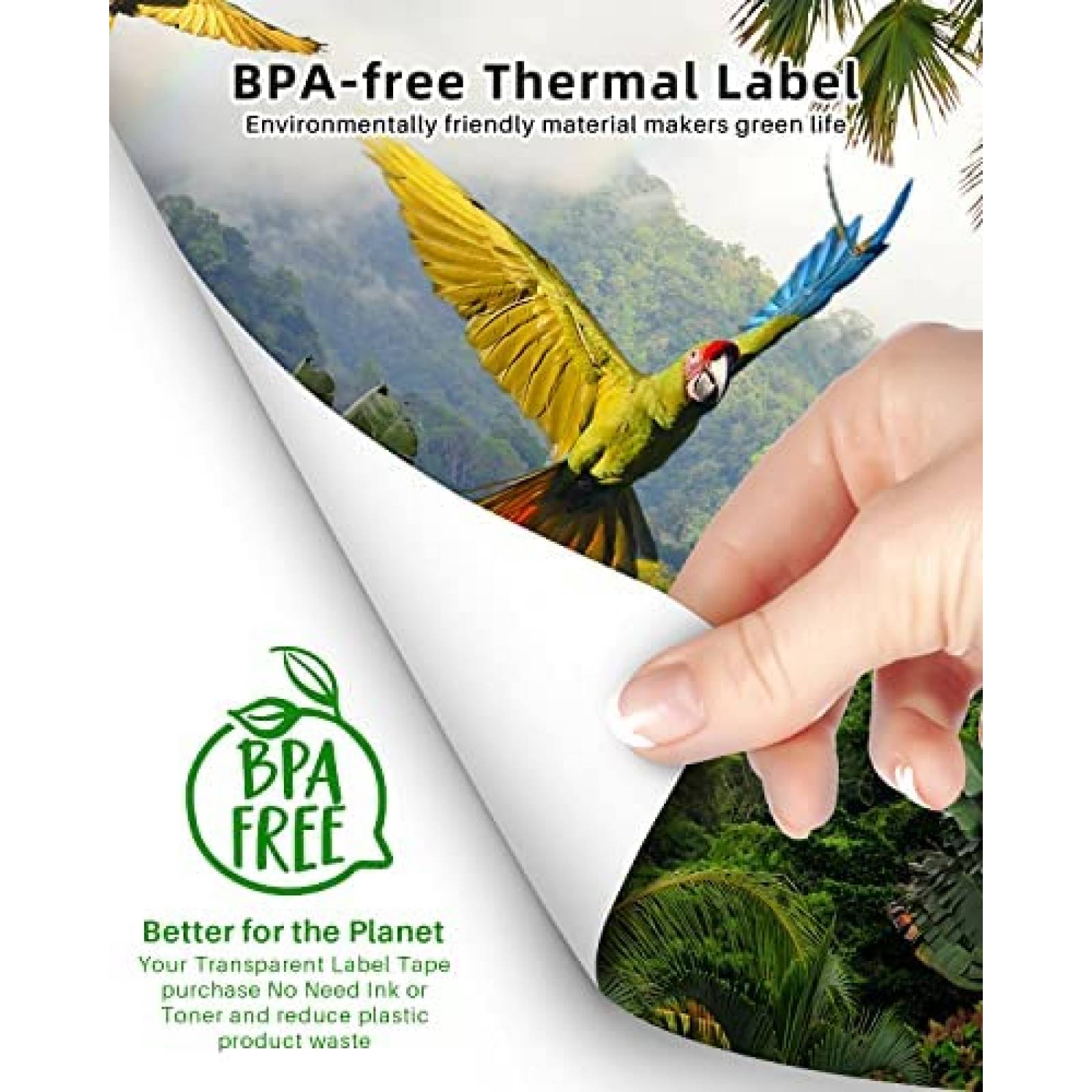 Impresora Termica Phomemo Portatil Inalambrica Bluetooth