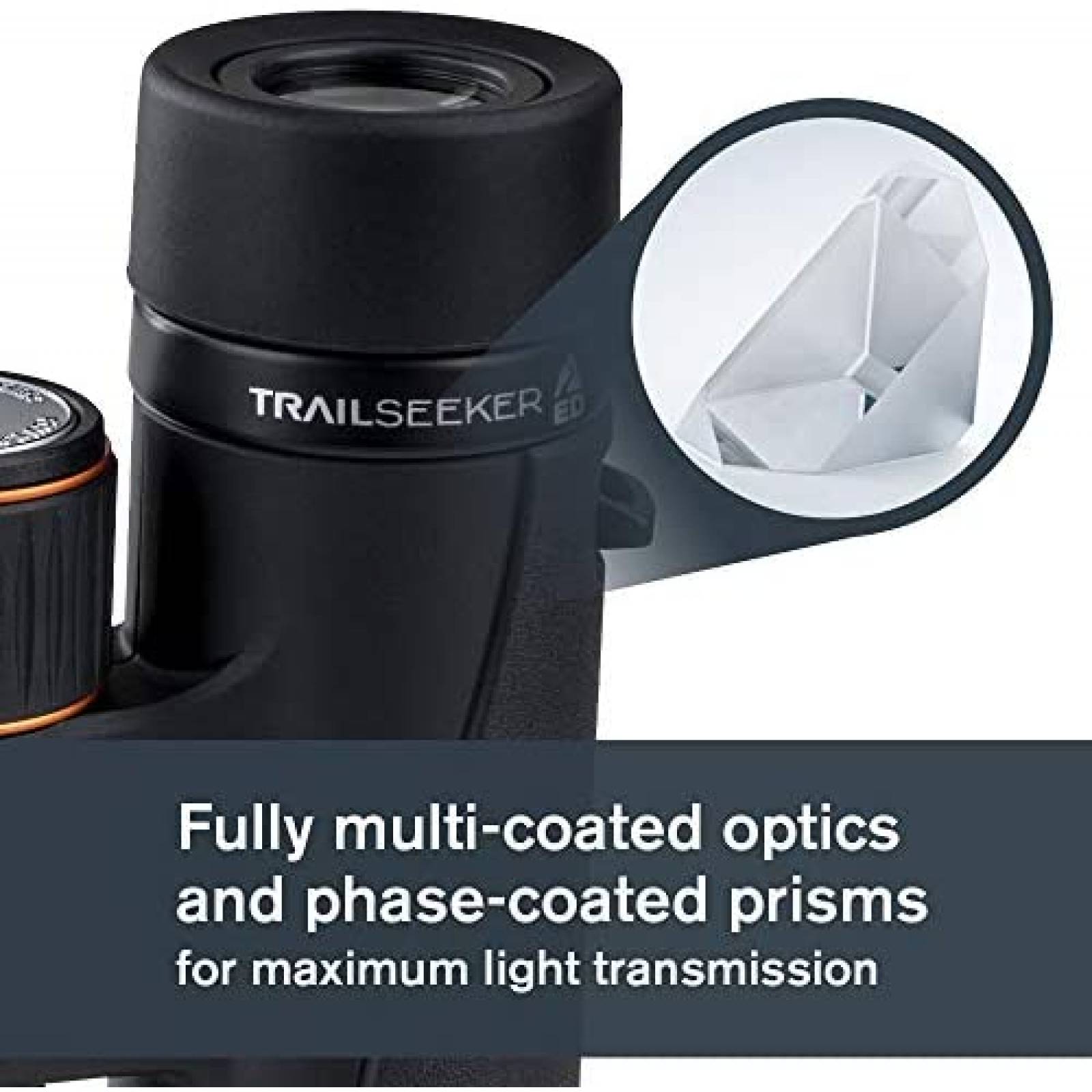 Binoculares Celestron ED 10x42 BAK4 con Accesorios -Negro