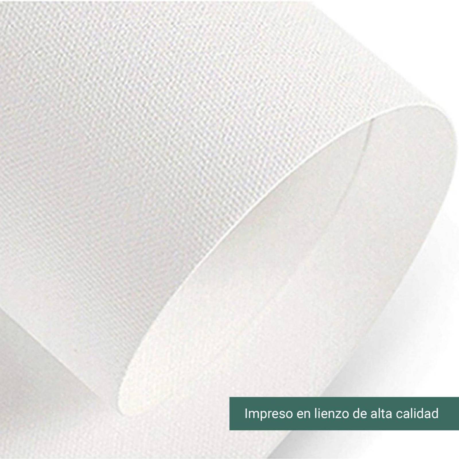 Cuadros Canvas Con Marco Sobre Lienzo Minimalista Abstracto 120x40Cm Plumas Pequeñas
