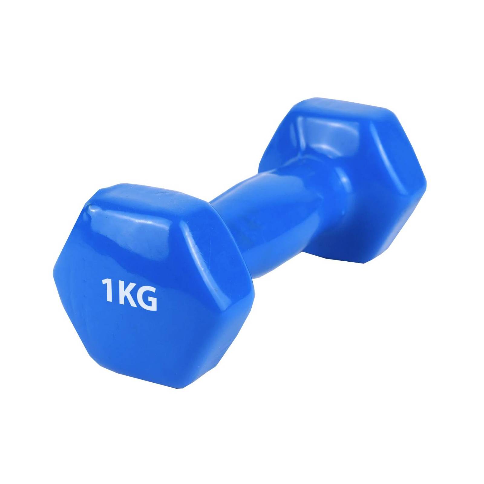 Dumbell, rubber covered 1KG Blue ZGF-035-1-AZ 
