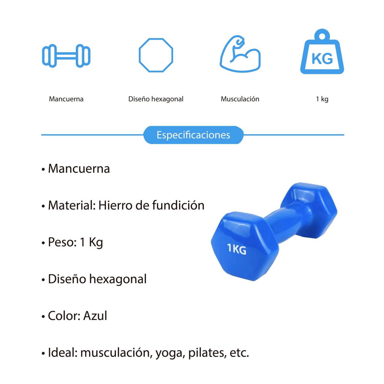 Dumbell, rubber covered 1KG Blue ZGF-035-1-AZ 