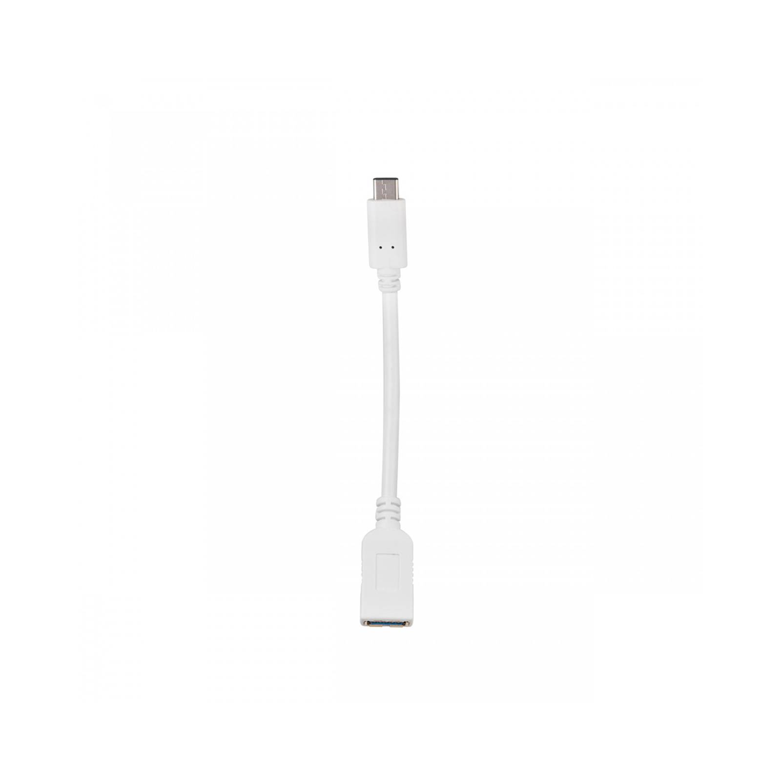 Cable USB C a Jack USB 3.0