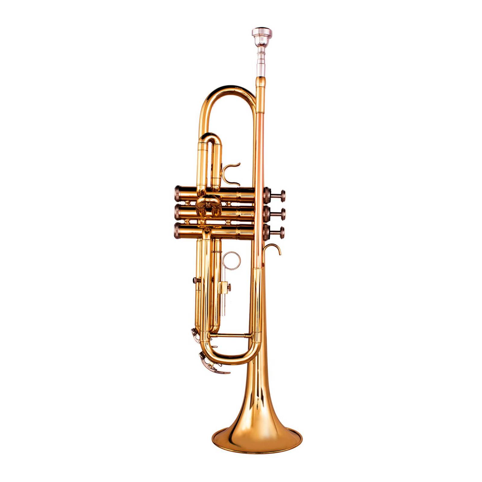 Trompeta Bb Dorada con Estuche FT-6418L KLINGT 