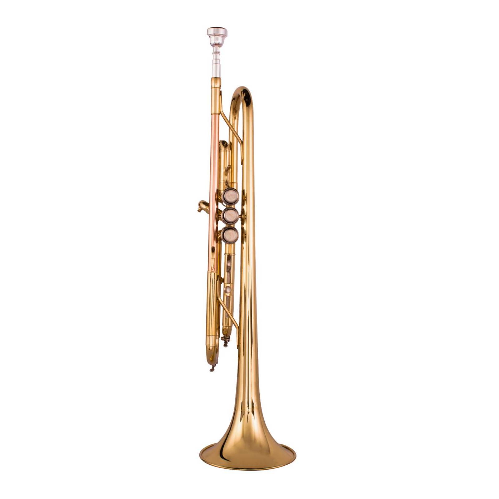 Trompeta Bb Dorada con Estuche FT-6418L KLINGT 