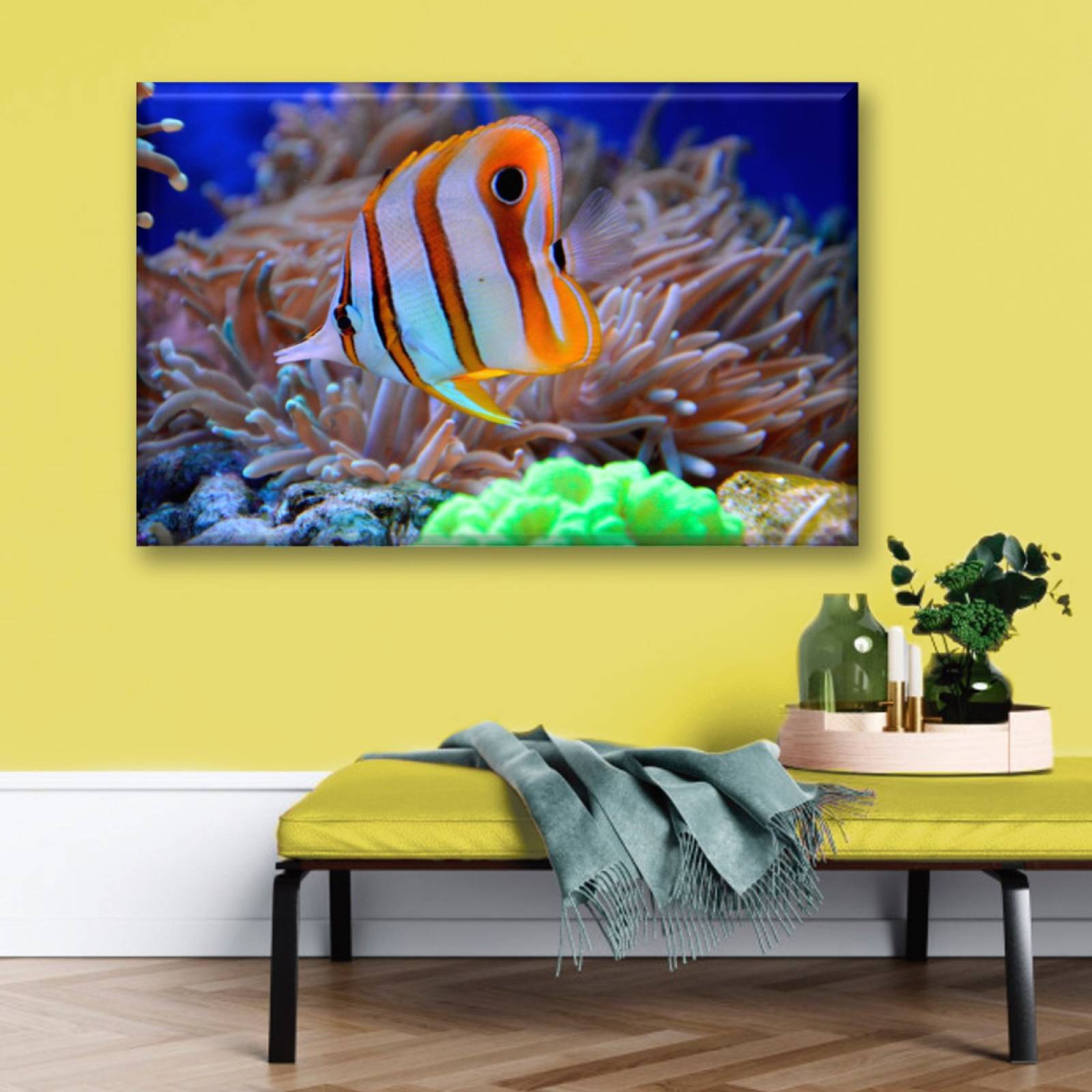 Cuadro Canva Decorativo Fauna Coral 90X60 cm