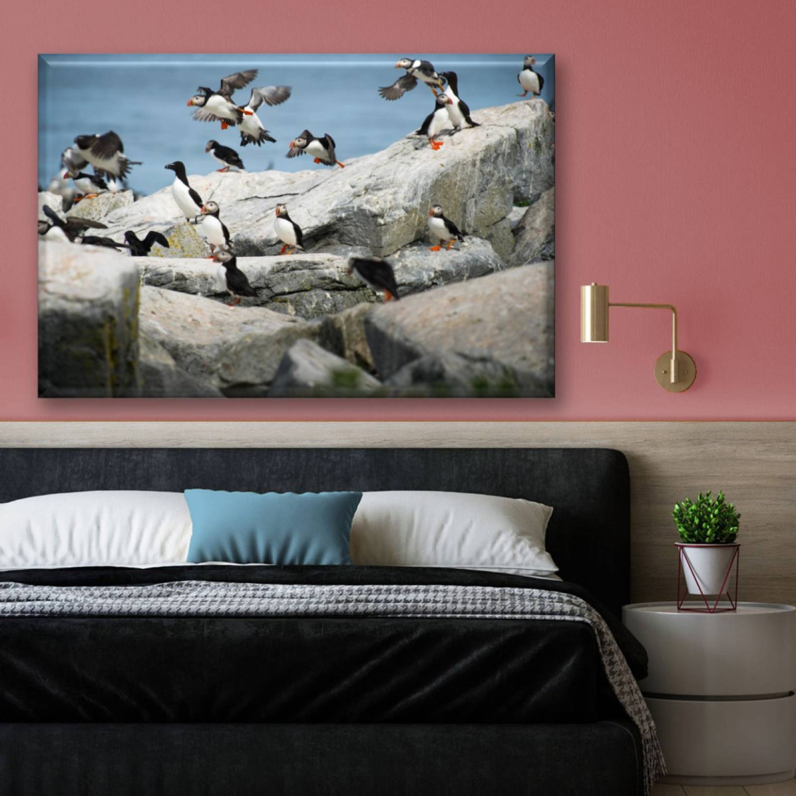 Cuadro Canva Decorativo Parvada De Pinguinos 90X60 cm