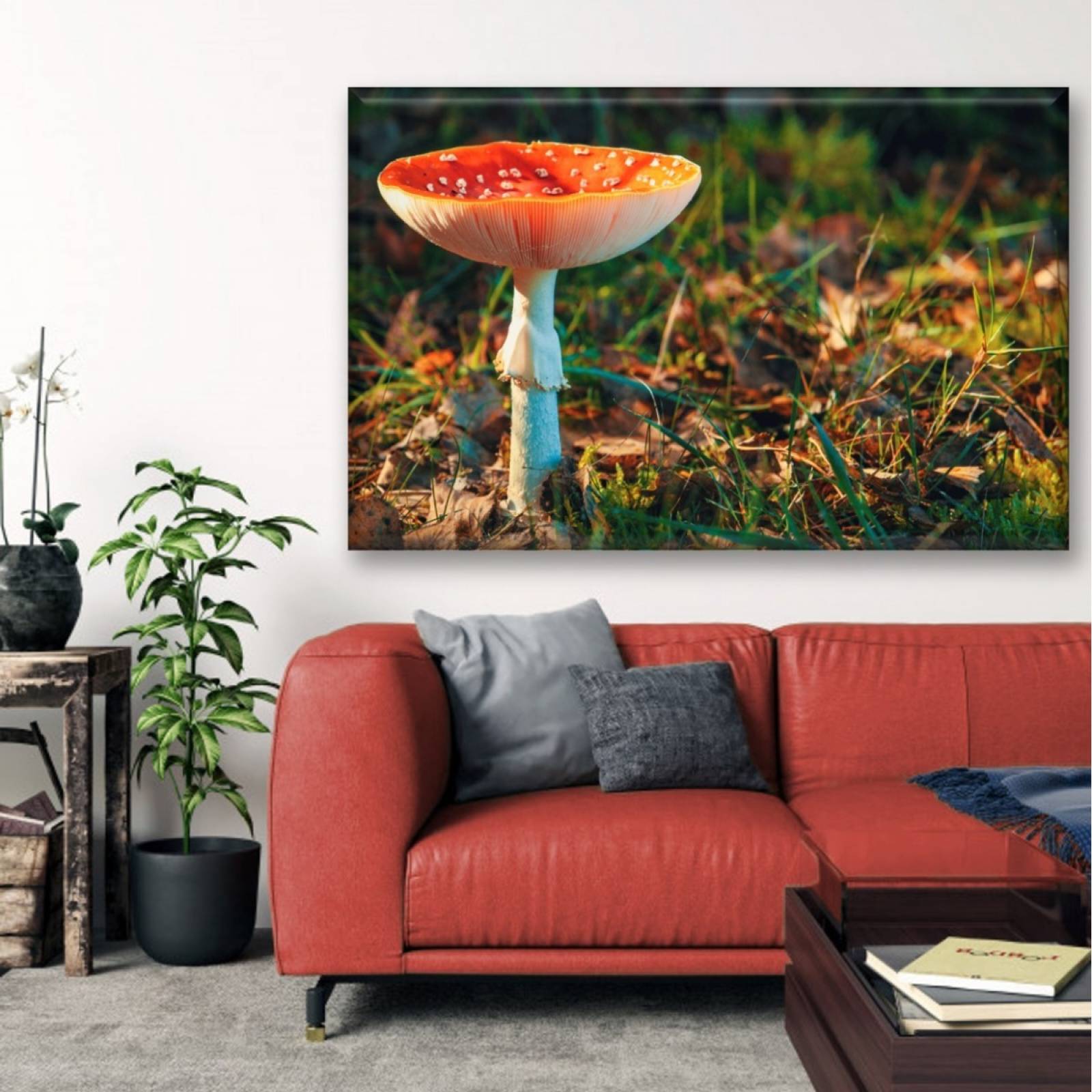 Cuadro Canva Decorativo Hongo Matamoscas 90X60 cm