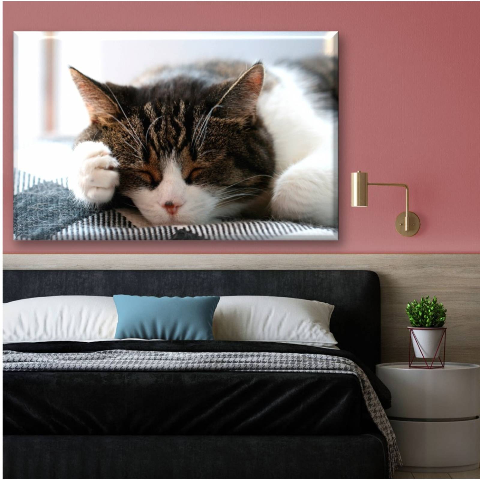 Cuadro Canva Decorativo Gato Dormilón 90X60 cm