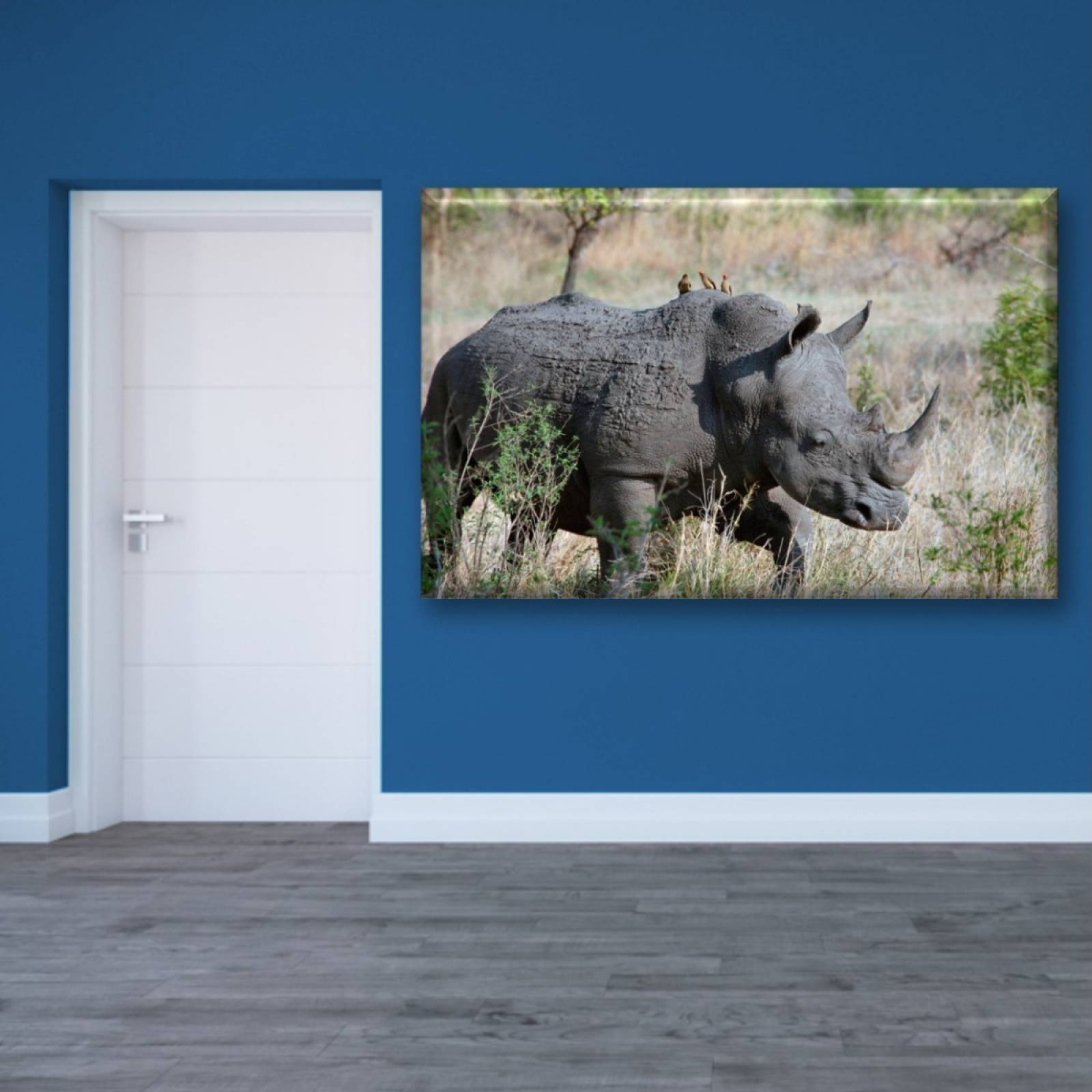 Cuadro Canva Decorativo Perfil De Rinoceronte 90X60 cm