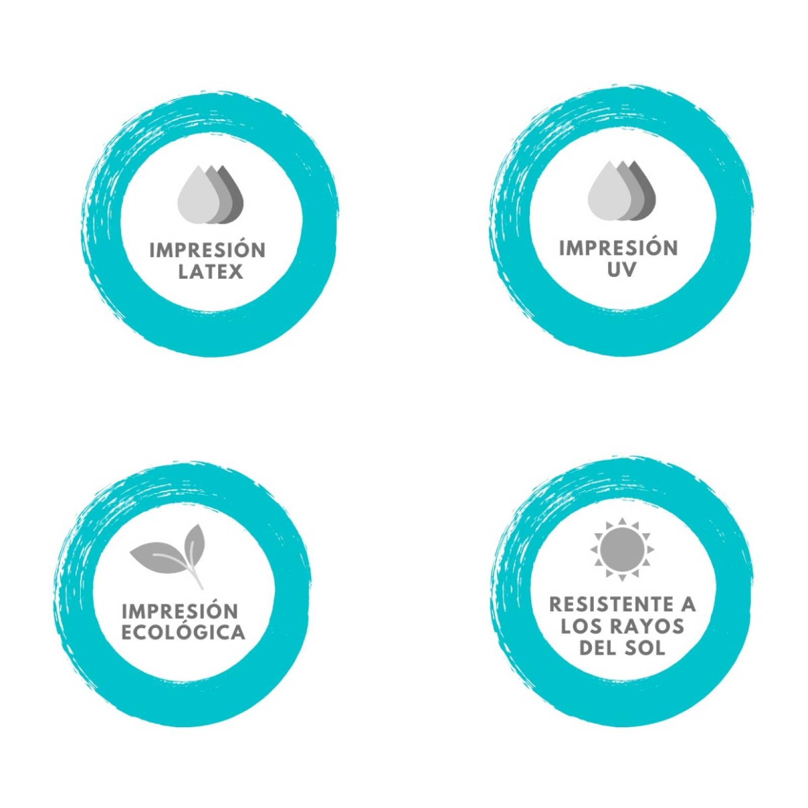 Cuadro Canva Decorativo Línea Pitbull 80X80 cm