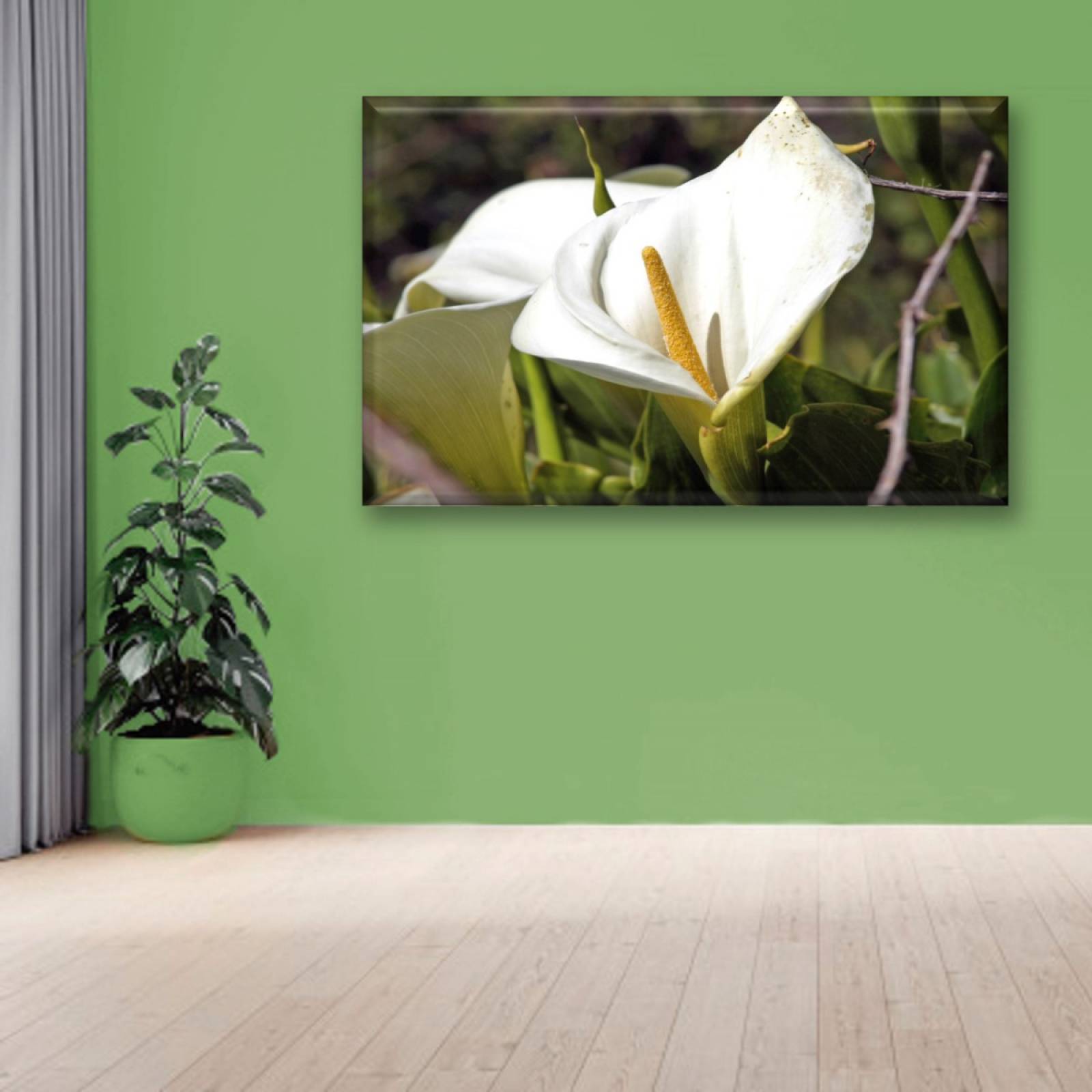 Cuadro Canva Decorativo Alcatraz 60X40 cm