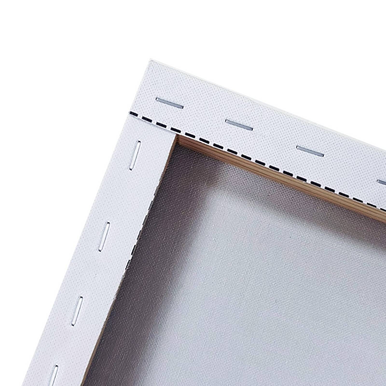 Cuadro Canva Decorativo Mirada León 60X40 cm