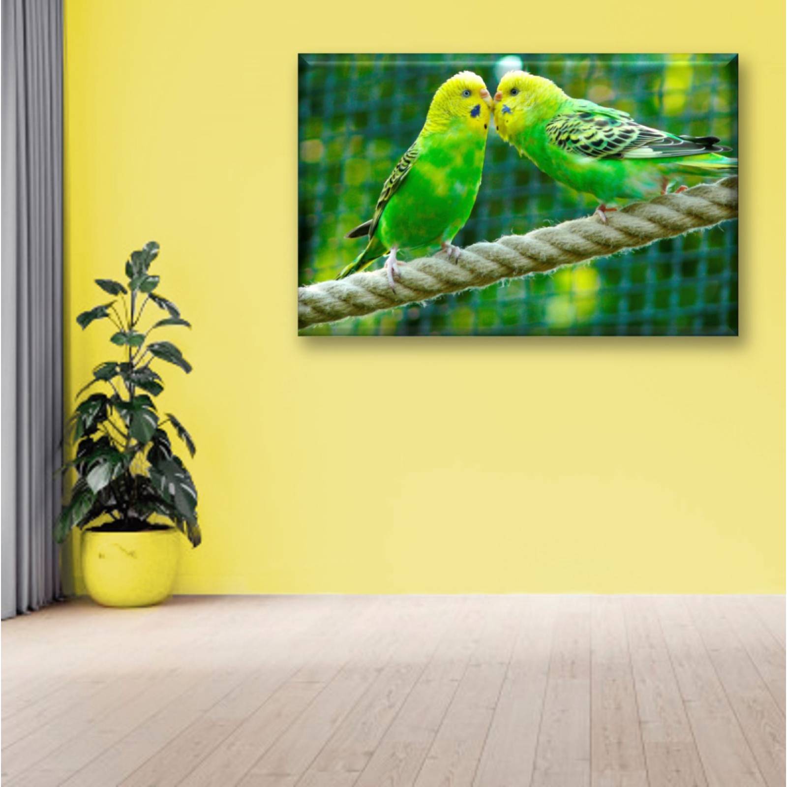 Cuadro Canva Decorativo Pericos Australianos 60X40 cm