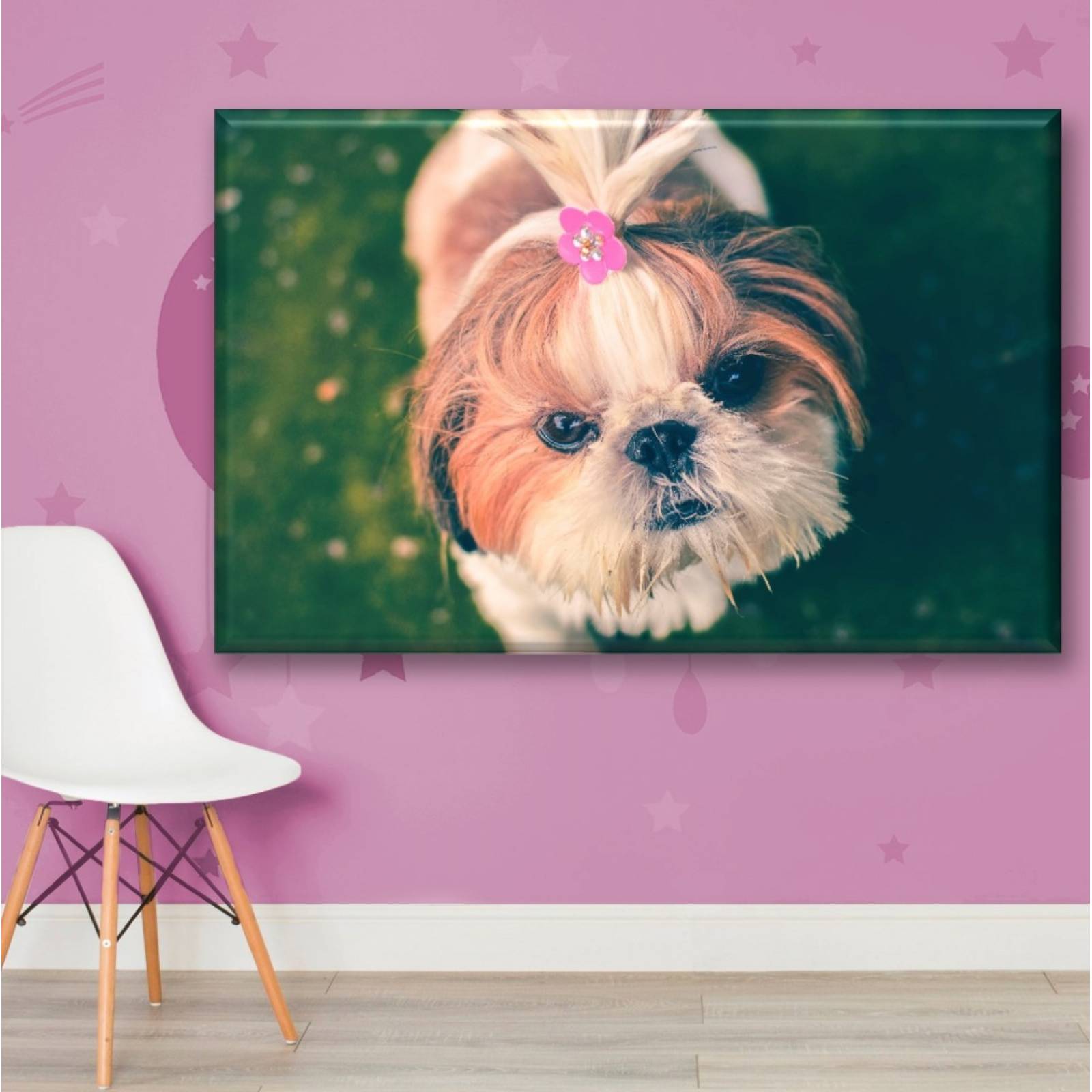 Cuadro Canva Decorativo Bichón Maltés 60X40 cm