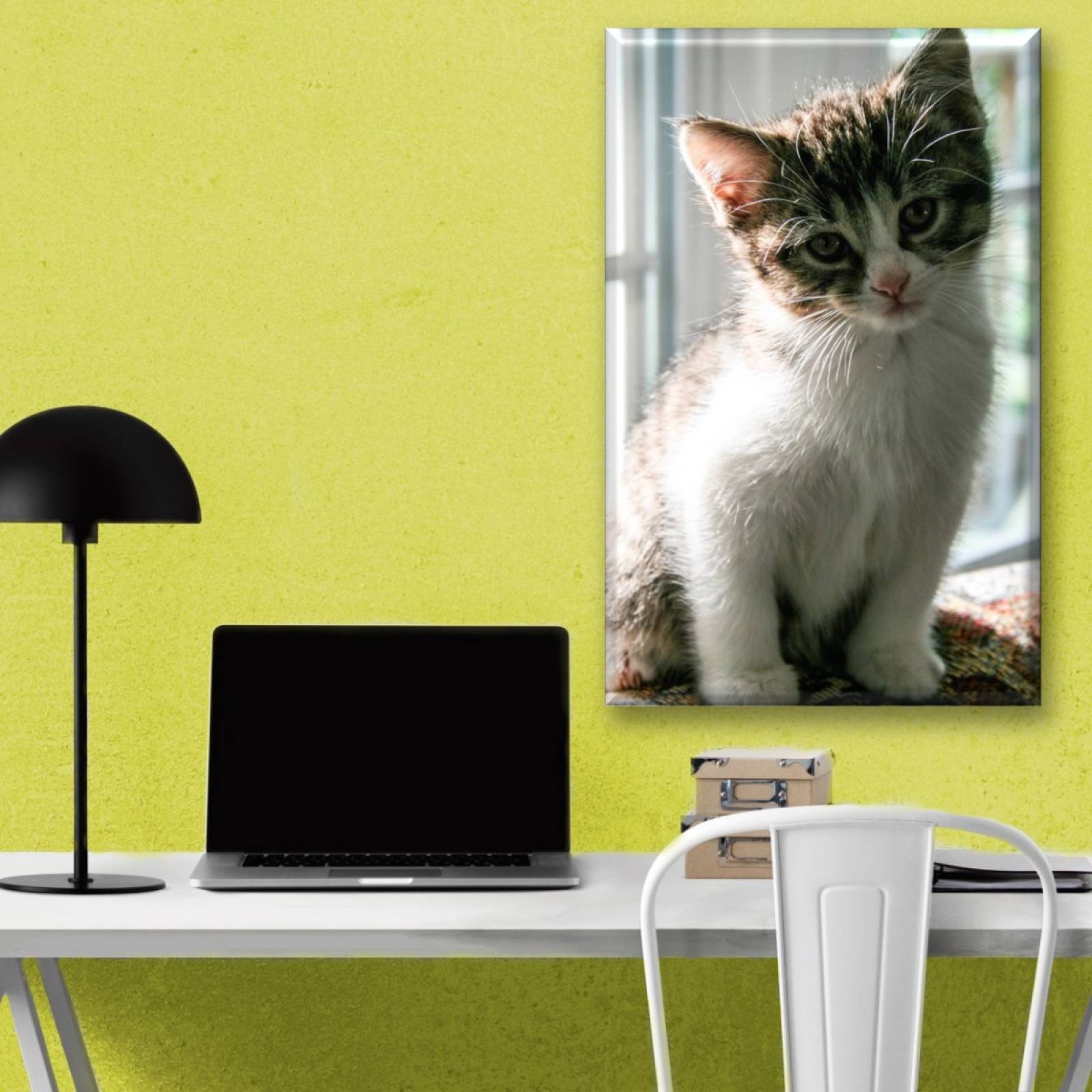 Cuadro Canva Decorativo Gatito Curioso 60X40 cm
