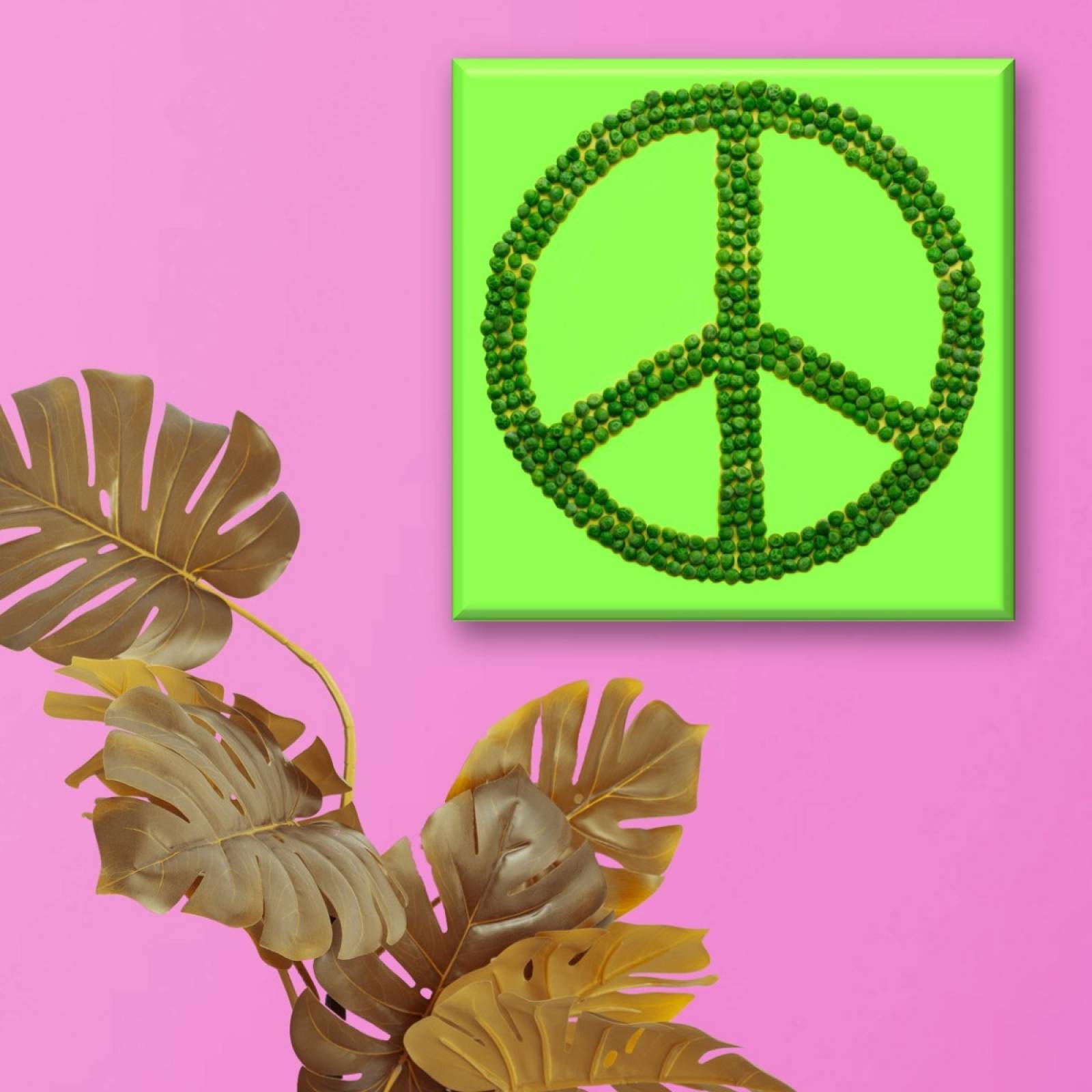 Cuadro Canva Decorativo Simbolo De Amor Y Paz 40X40 cm
