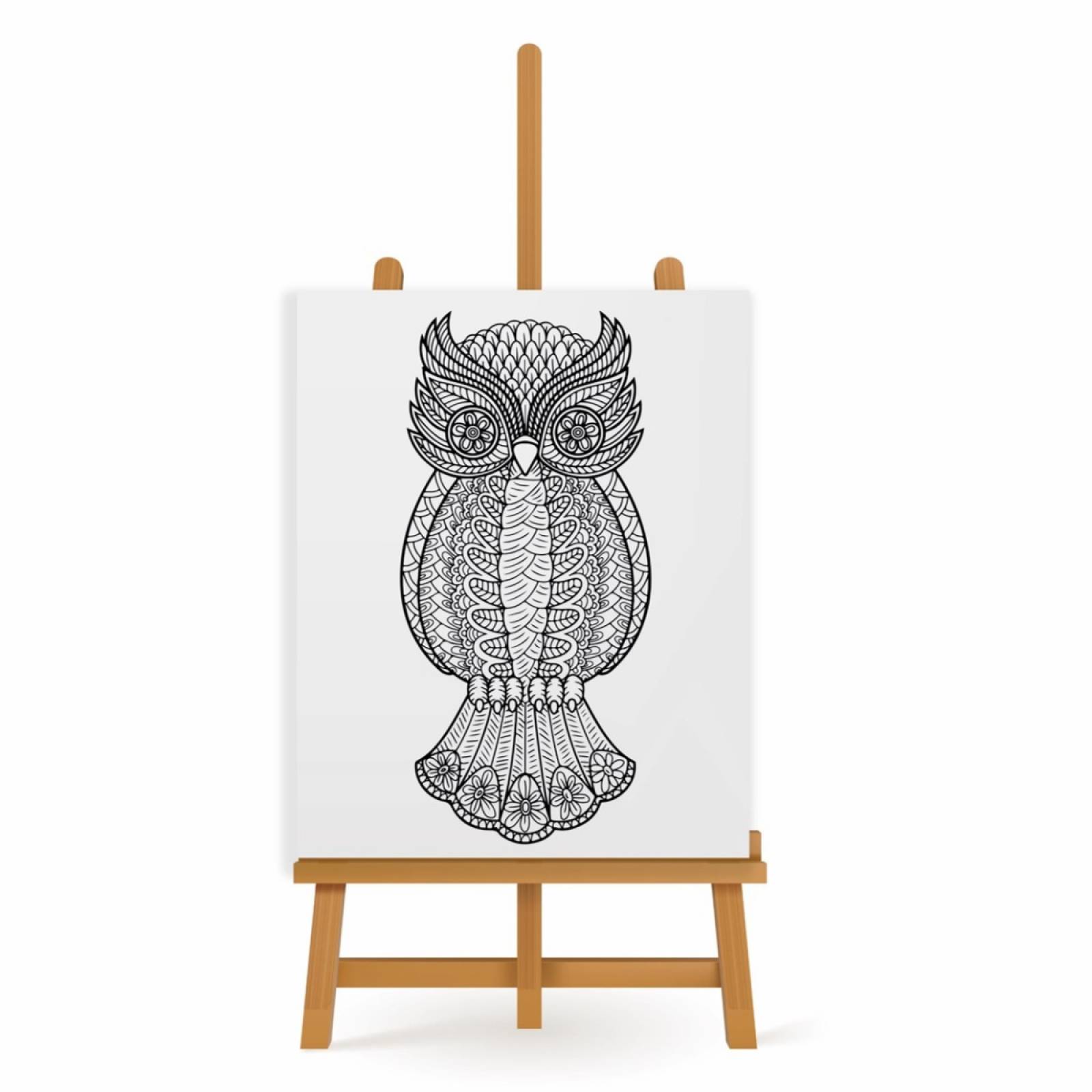 Mandala para Pintar en Cuadro Canva Búho Flores 60x40 cm