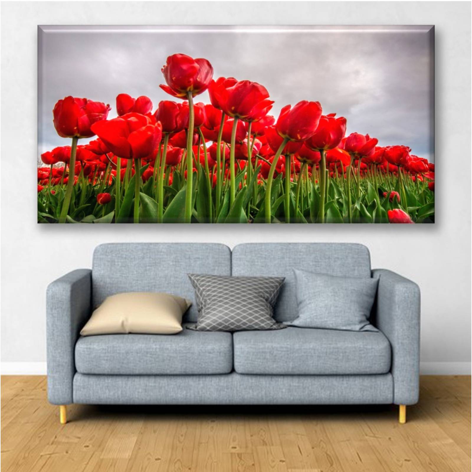 Cuadro Canva Decorativo Campo De Tulipanes Rojos 30X60 cm