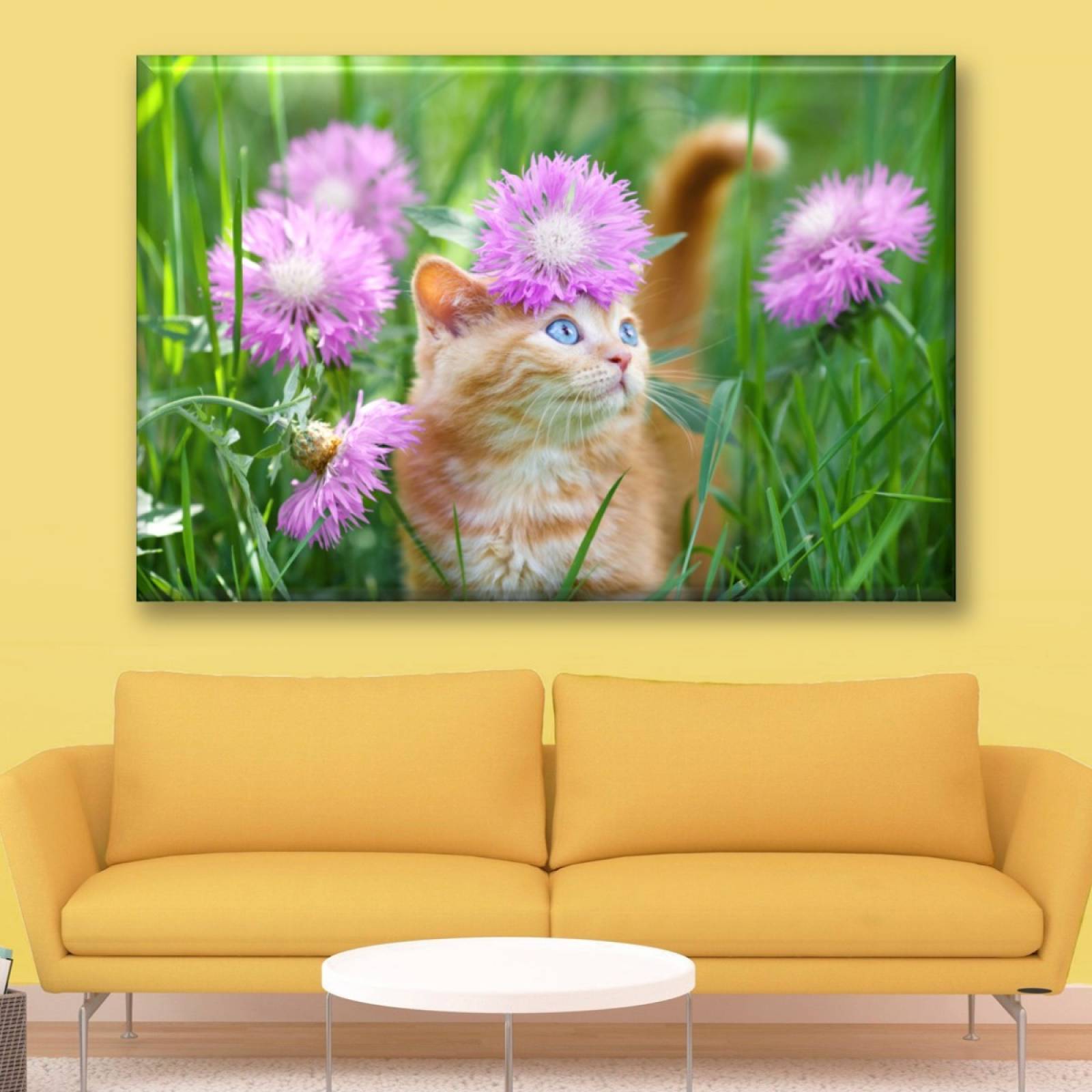 Cuadro Canva Decorativo Gatito En El Jardin 60X40 cm
