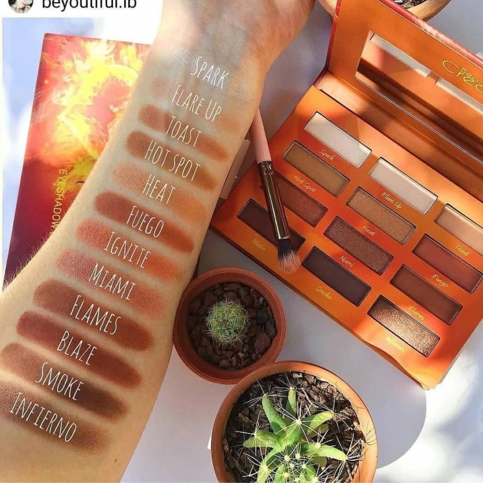 Paleta De Sombras Hot Fire Beauty Creations 12 Tonos 