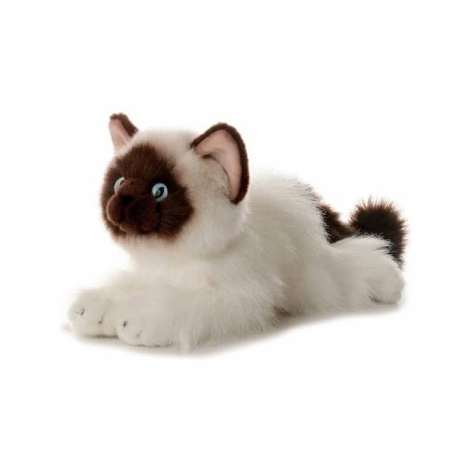 Peluche De Gato Siames Bella Aurora World