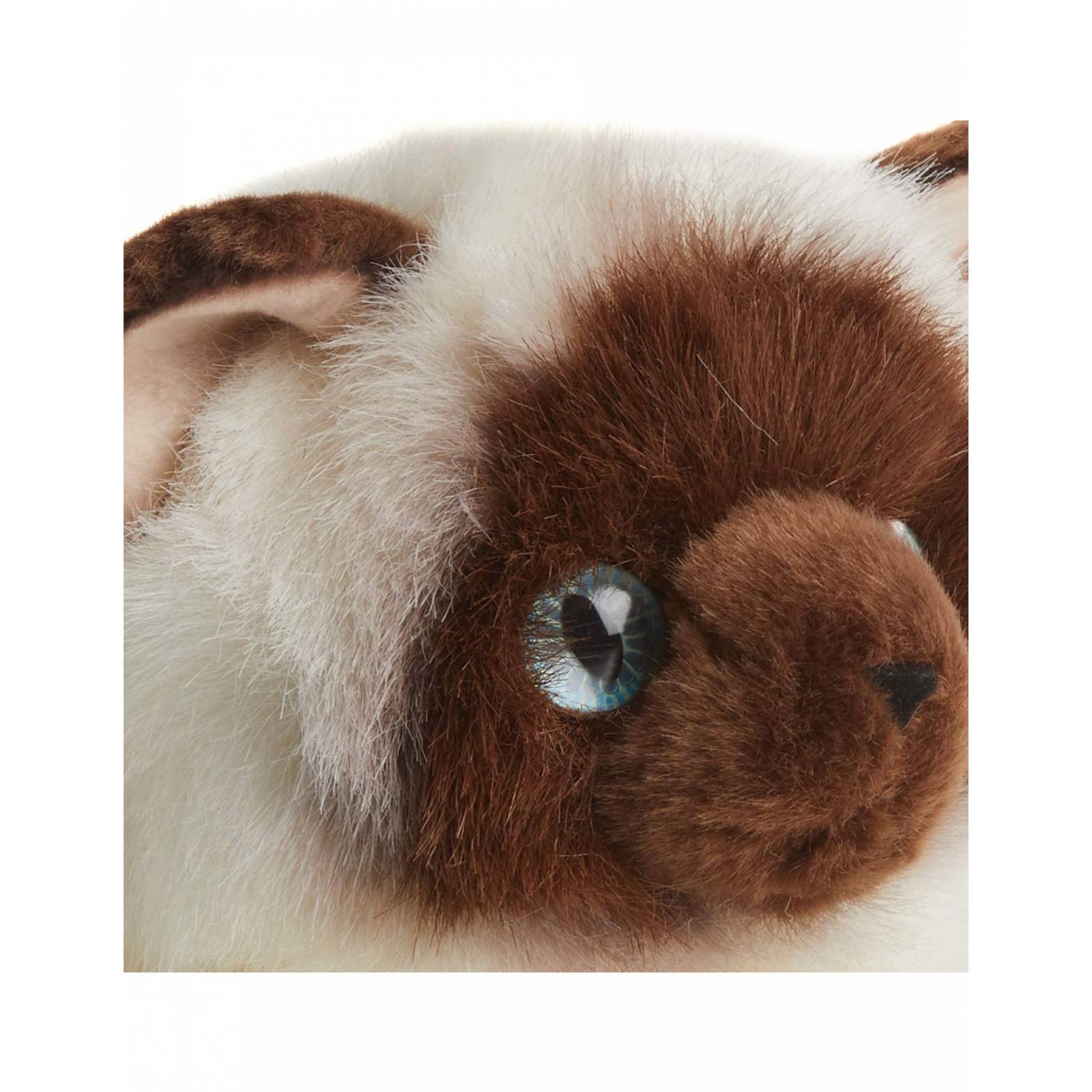 Peluche de Gato Siames Bella Aurora World