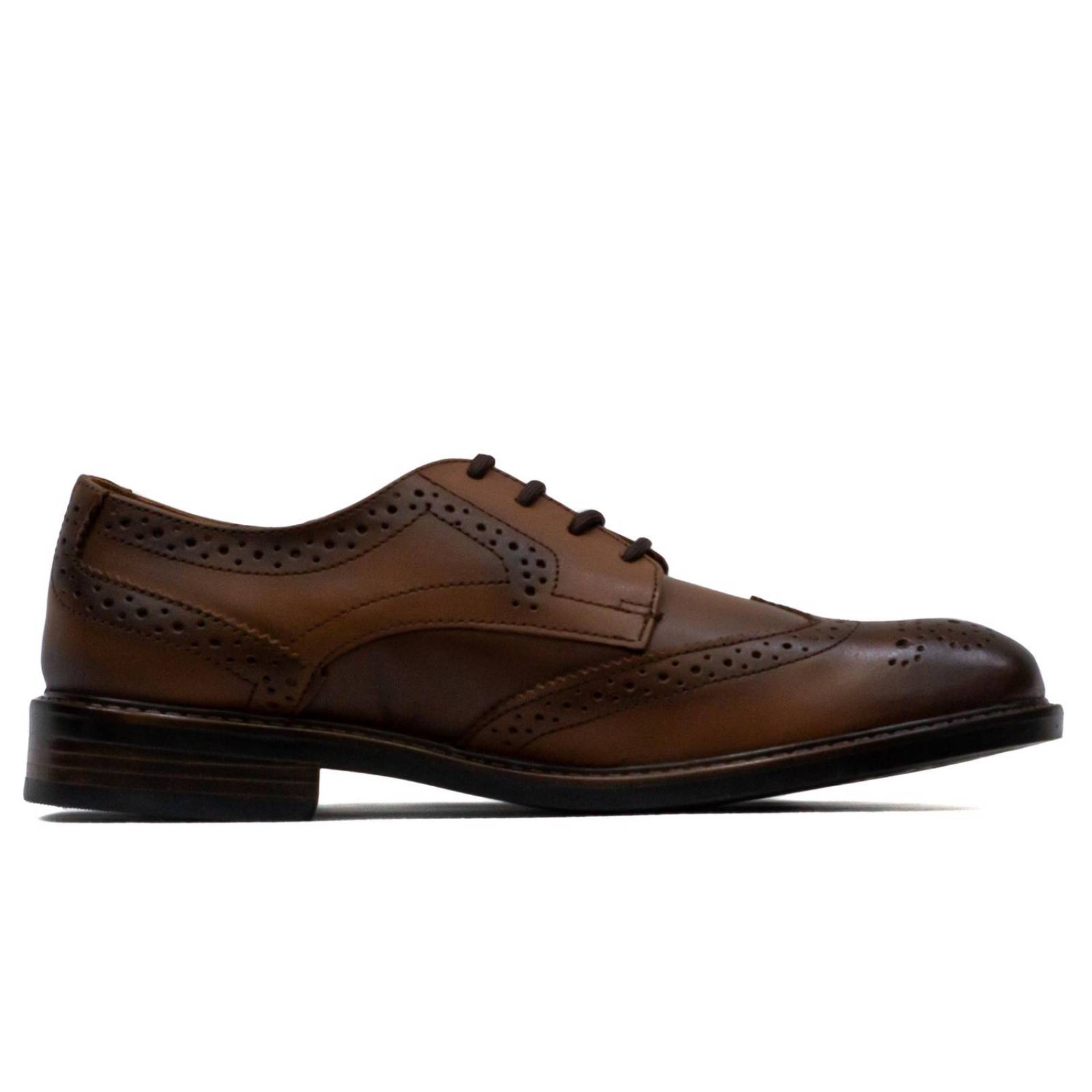 Zapato Christian Gallery 26501 para Hombre 