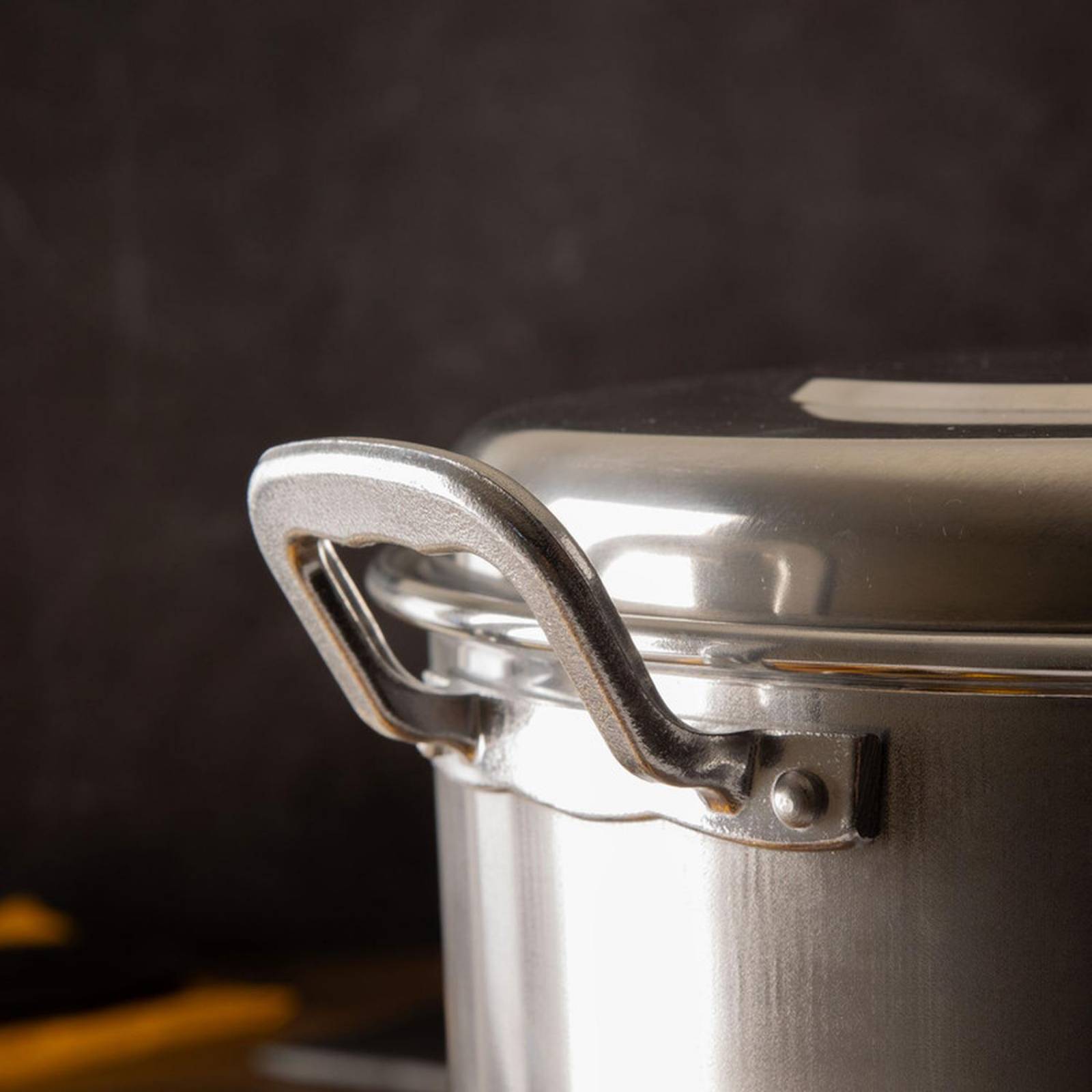 Vaporera Vasconia 26 Litros de Aluminio con Tapa 