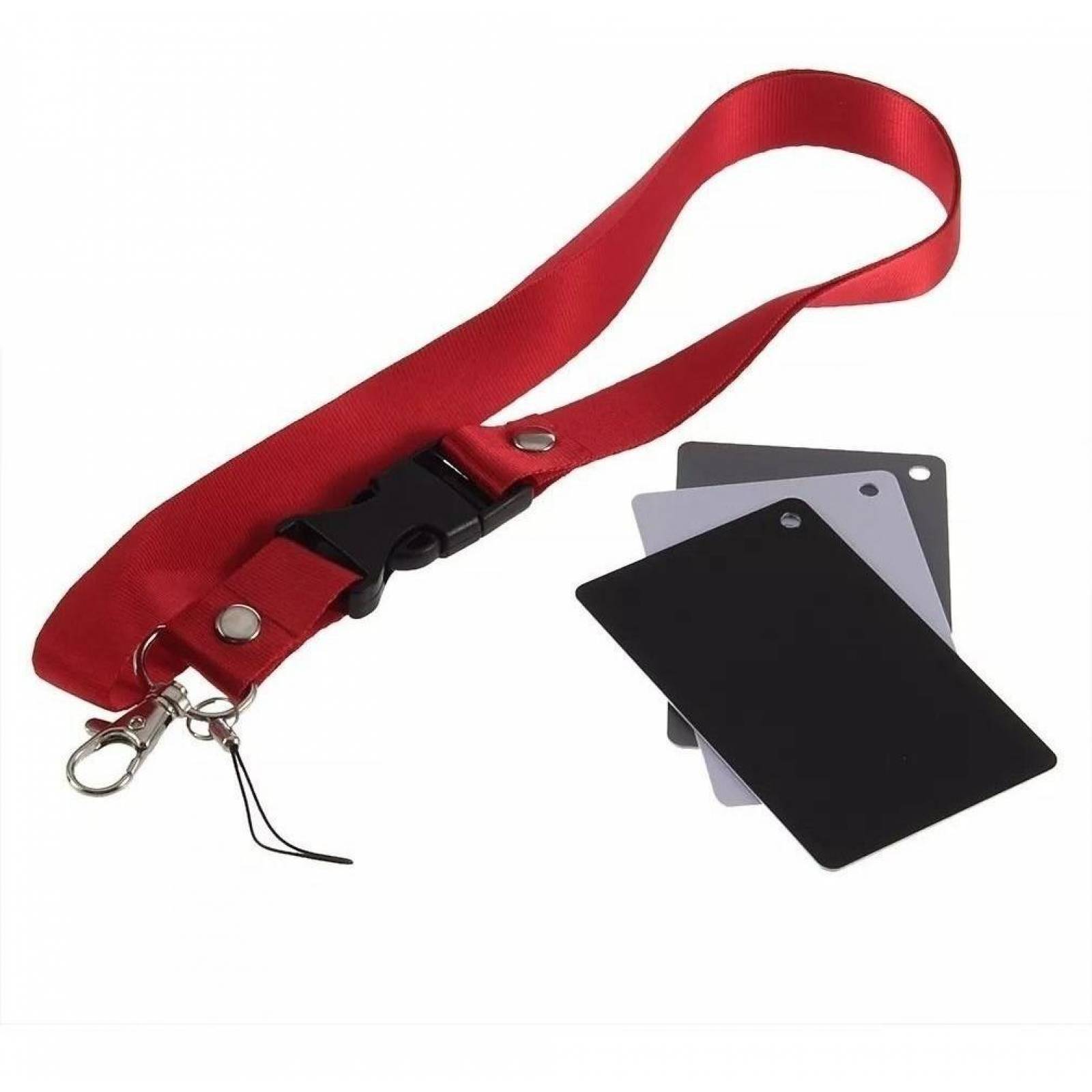 Tarjetas Grises 18% Negro Blanco Balance de Blancos Fotografia