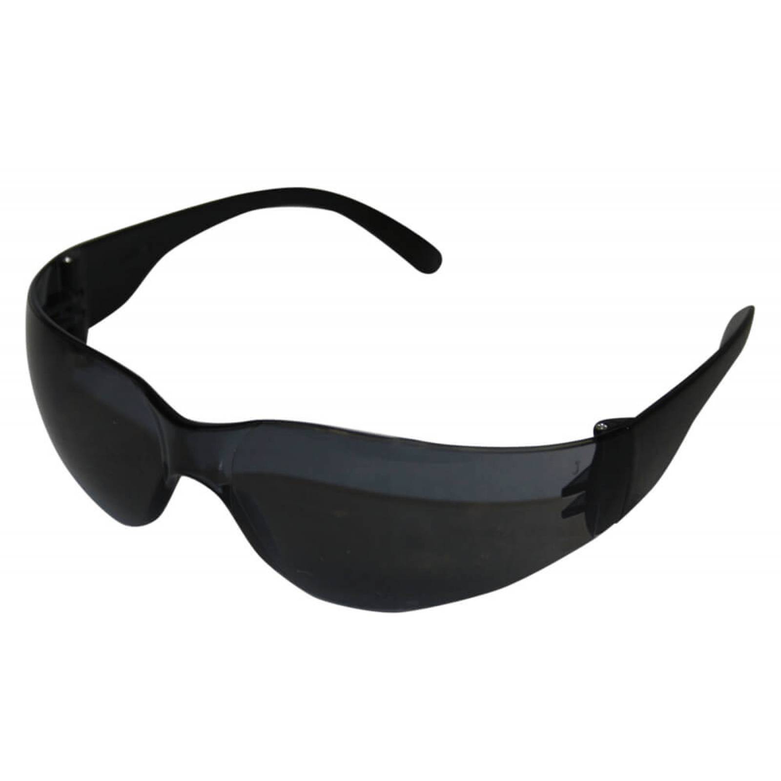 Lente senador de policarbonato mica gris 300 piezas