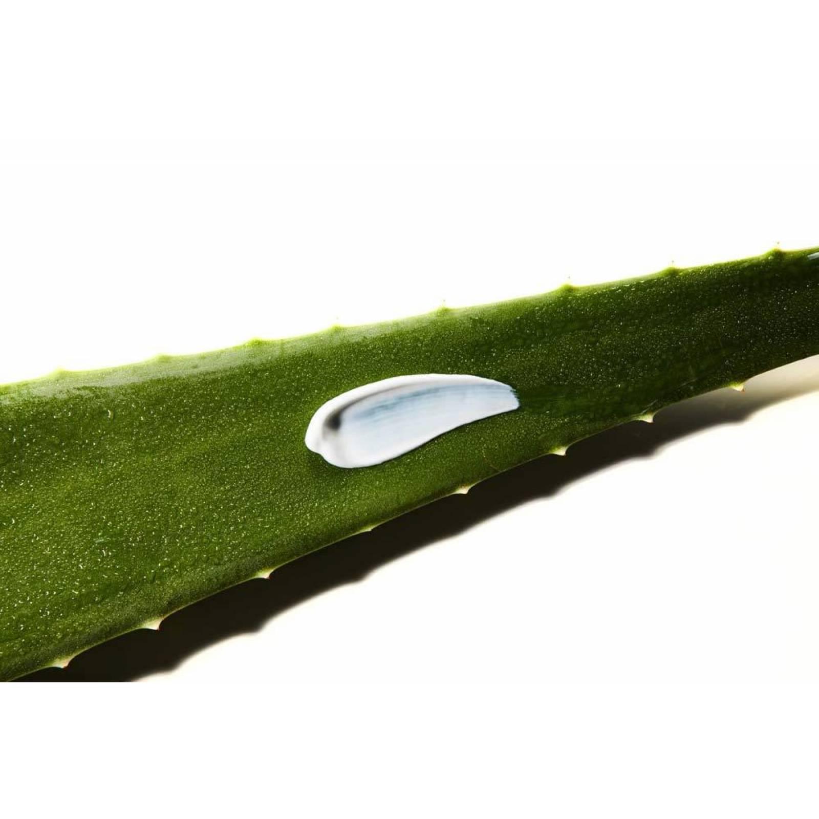 COSRX Aloe Soothing Sun Cream SPF50. Crema solar calmante 50ml 