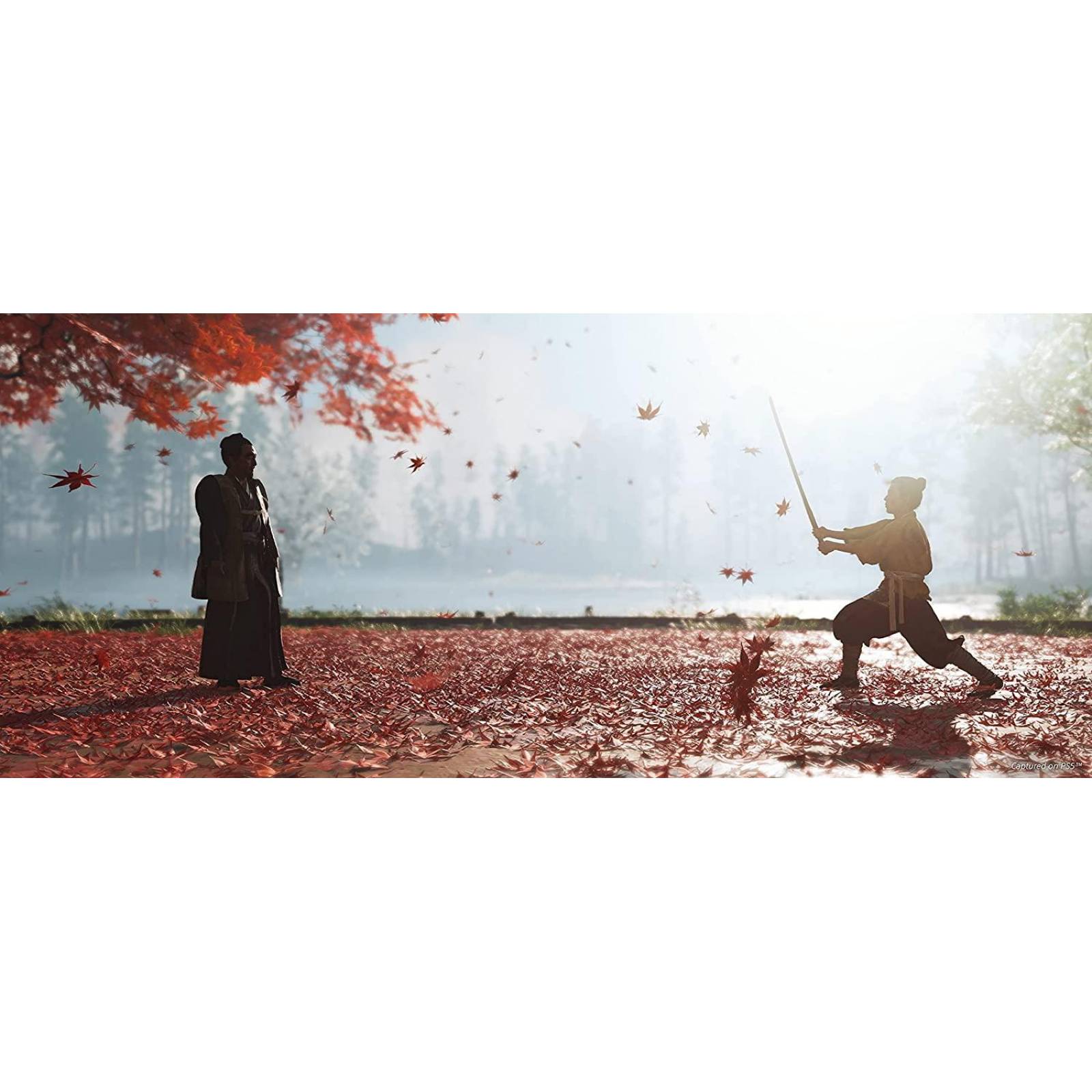 Ghost of Tsushima Director's Cut - PlayStation 4. Videojuego 