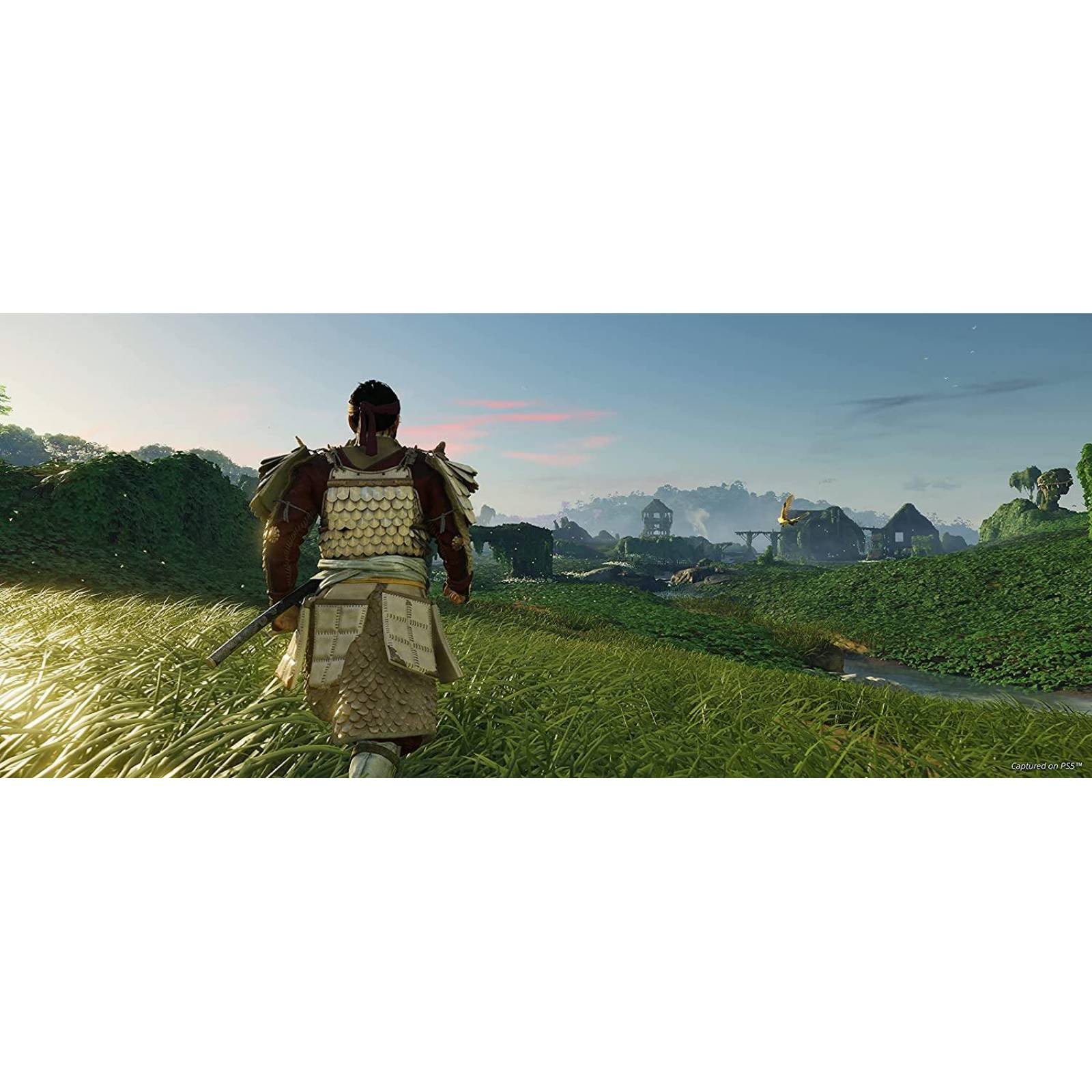 Ghost of Tsushima Director's Cut - PlayStation 4. Videojuego 