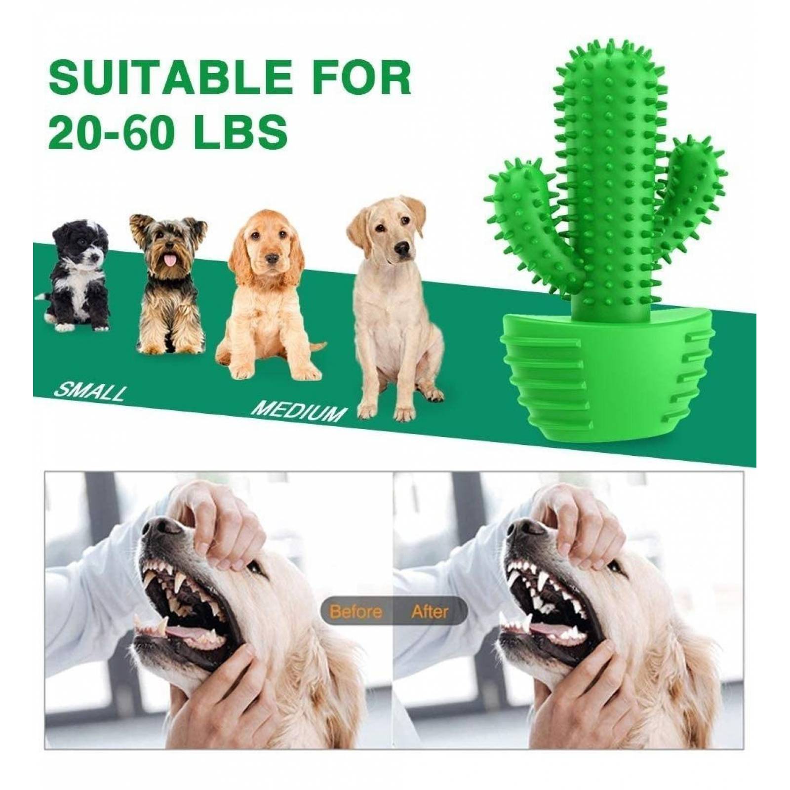 Wolfi Juguete Cactus Para Morder Para Perro, Caucho Natural 