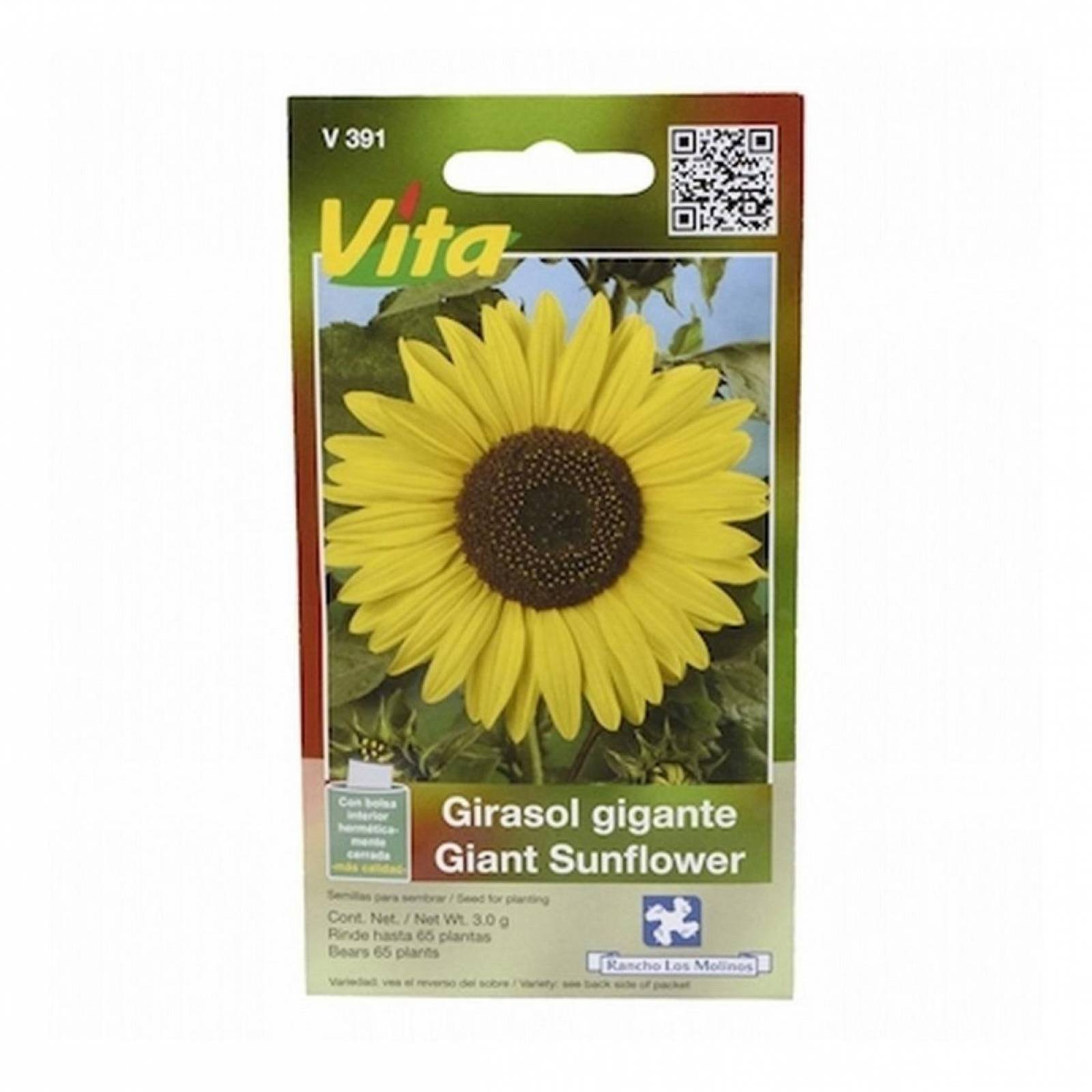 Semillas De Girasol Gigante 3 Gr Amarillo Vita 