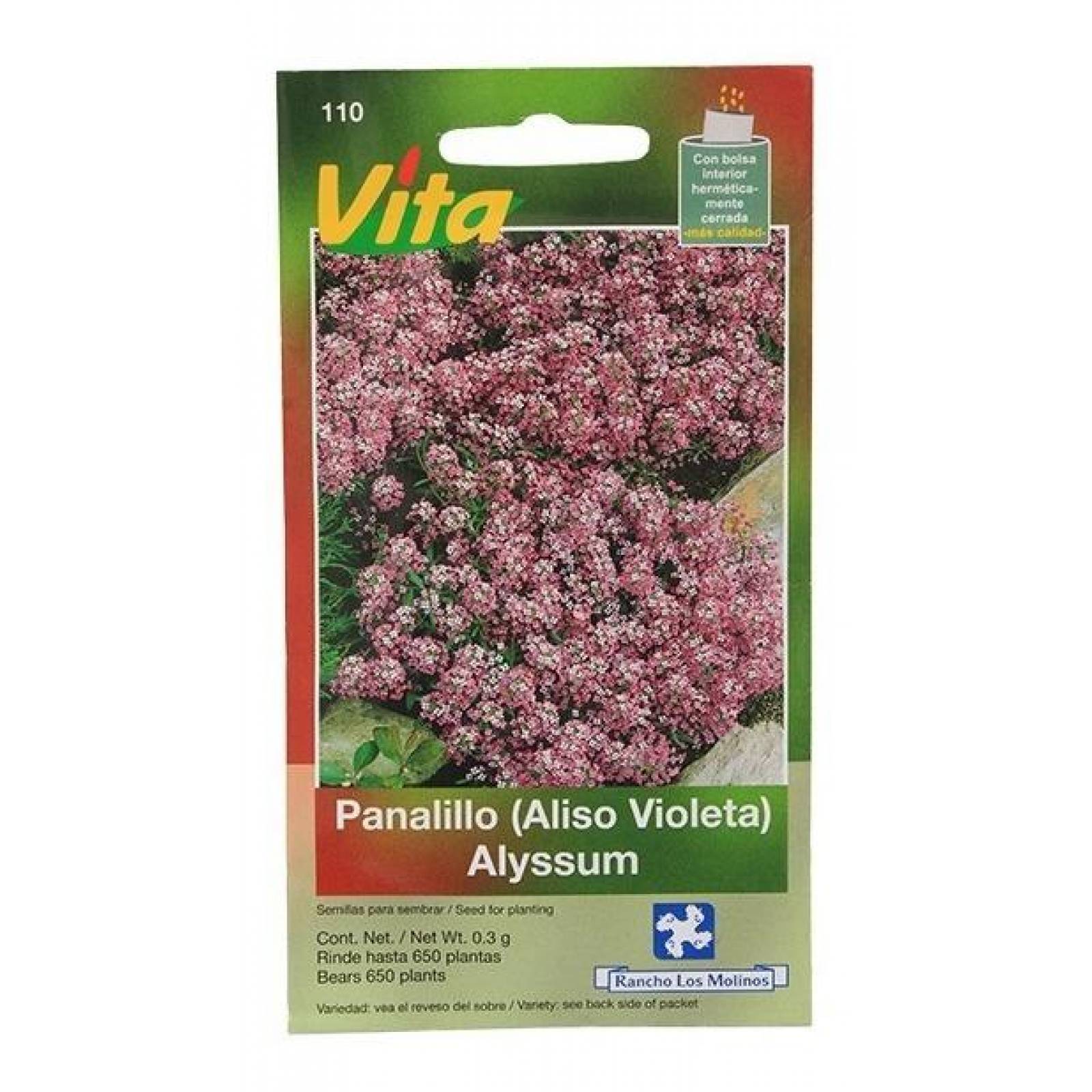 Semillas Para Sembrar Aliso Violeta 