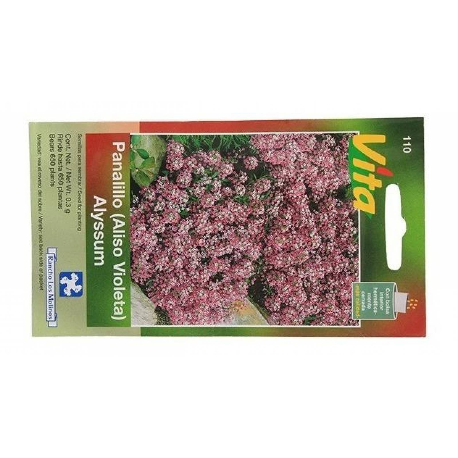 Semillas Para Sembrar Aliso Violeta 