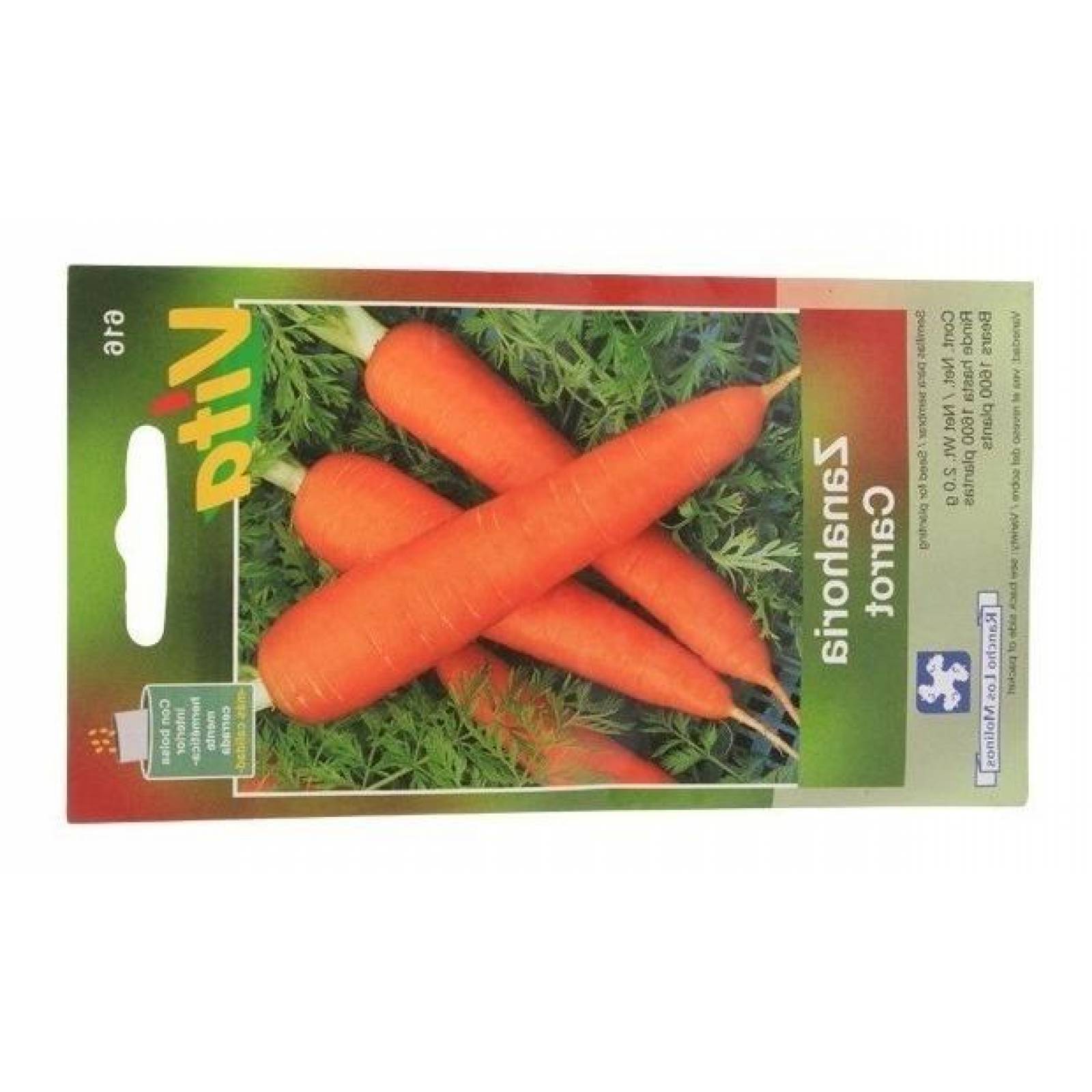 Semillas Para Sembrar Zanahoria De Colmar Cogollo 