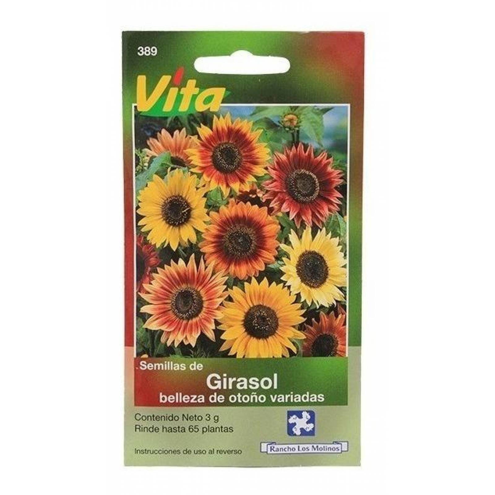 Semillas Para Sembrar Girasol Belleza De Otono 